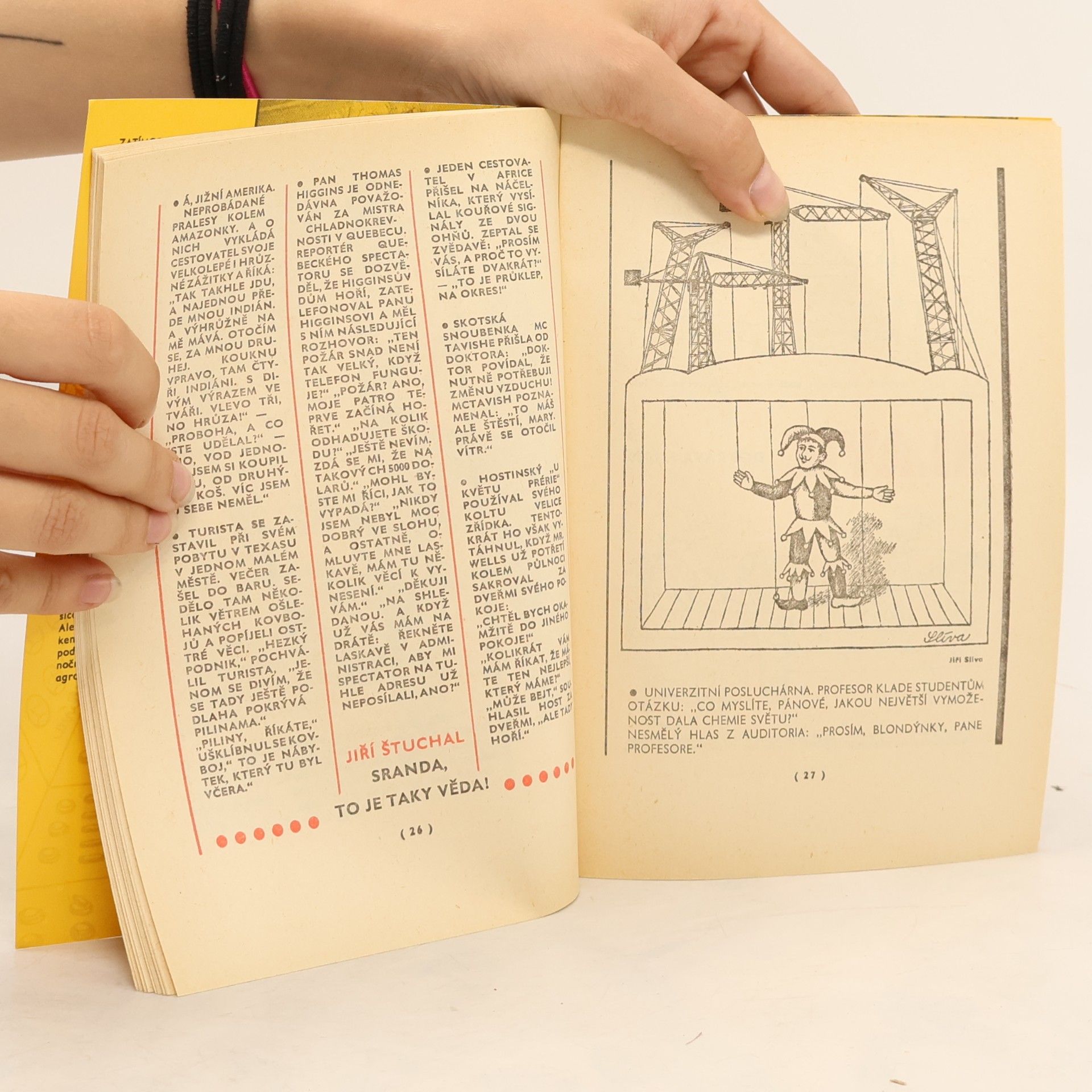 Autorenkollektiv Minikalendář Dikobrazu 1981