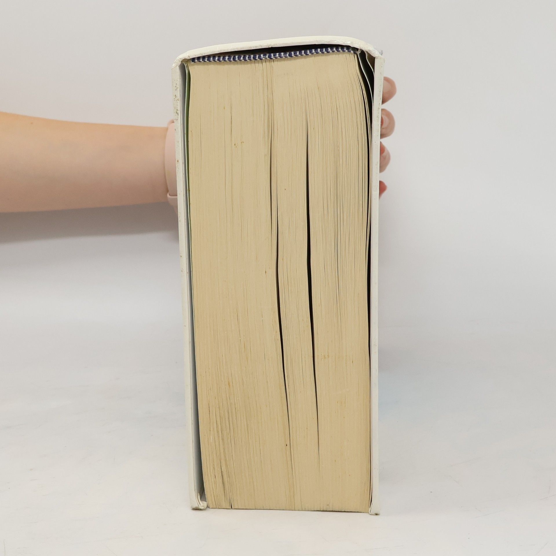 Susanne Schewior-Popp Thiemes Pflege