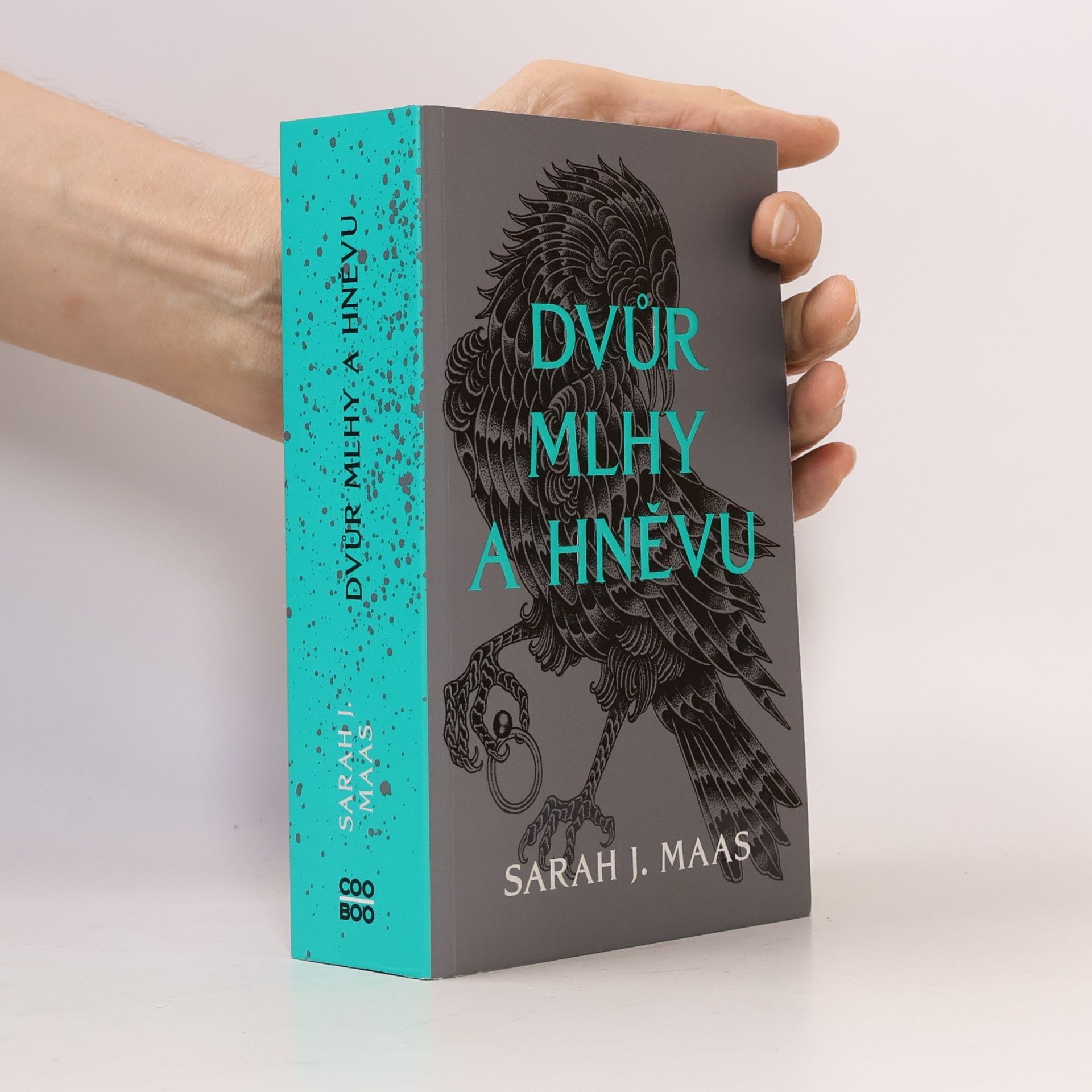 Sarah J. Maas Dvůr mlhy a hněvu