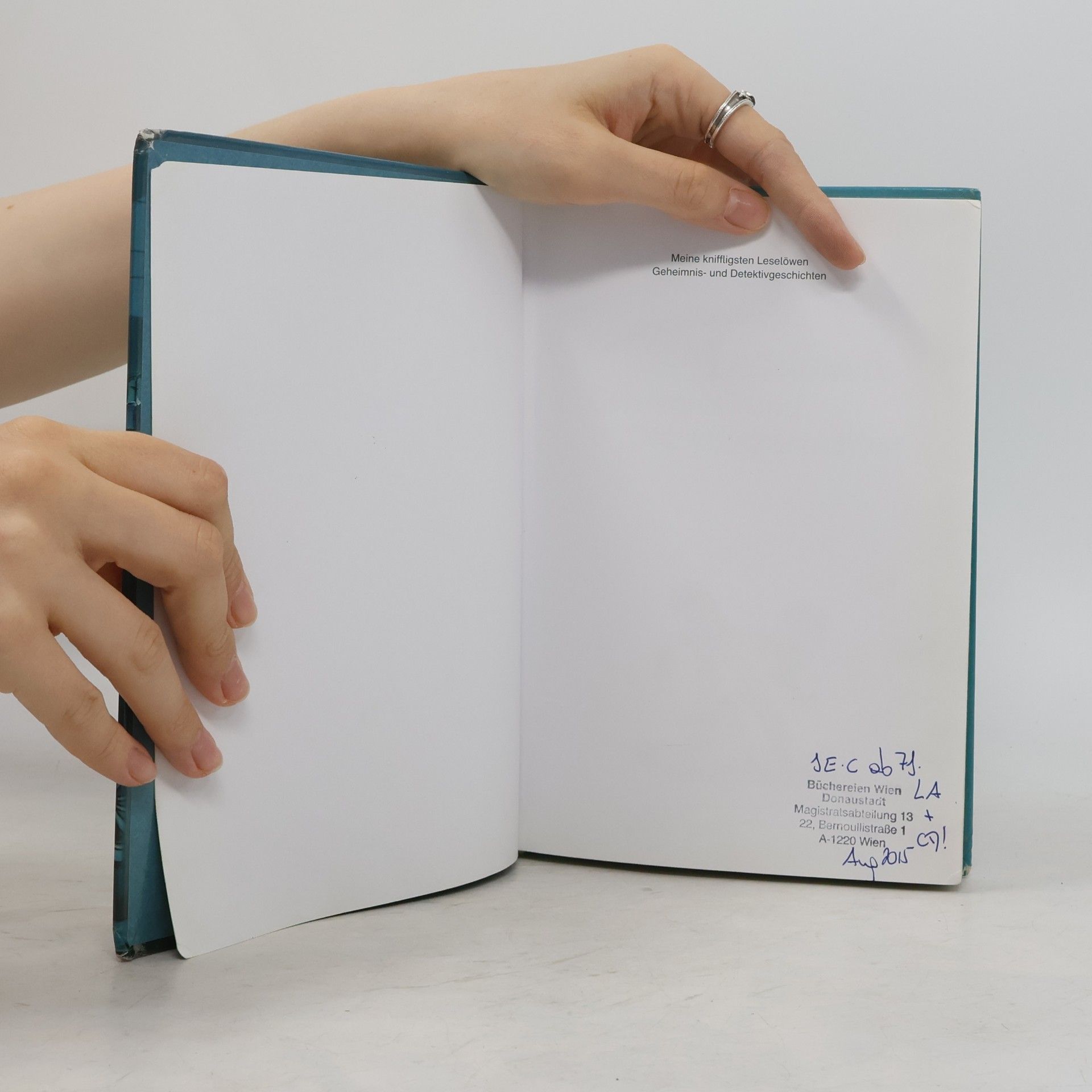MArliese Aroldová  Meine kniffligsten Leselöwen-Geheimnis- und Detektivgeschichten