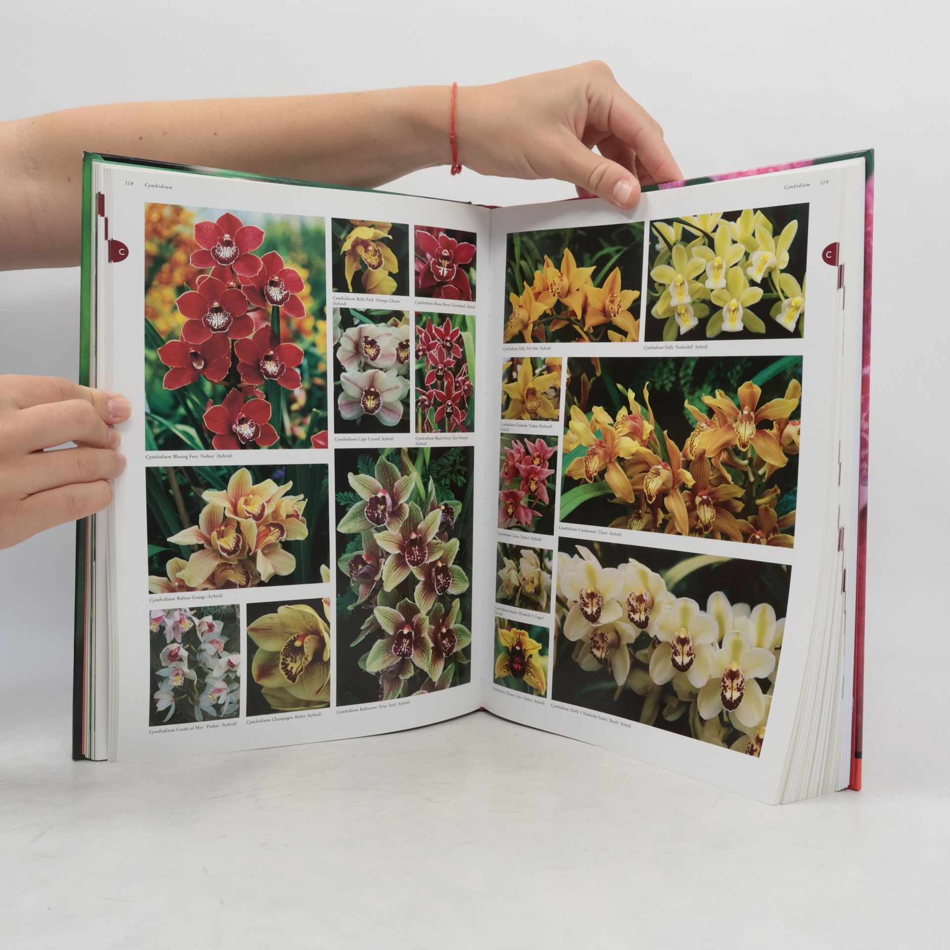 Ned Nash Orchideje: Více než 1500 druhů orchidejí