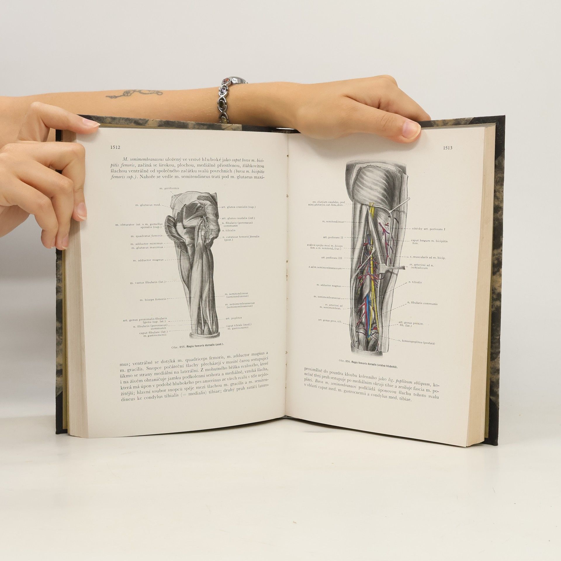 Karel Weigner Topografická anatomie se zřetelem k studiu anatomie k potřebám klinickým