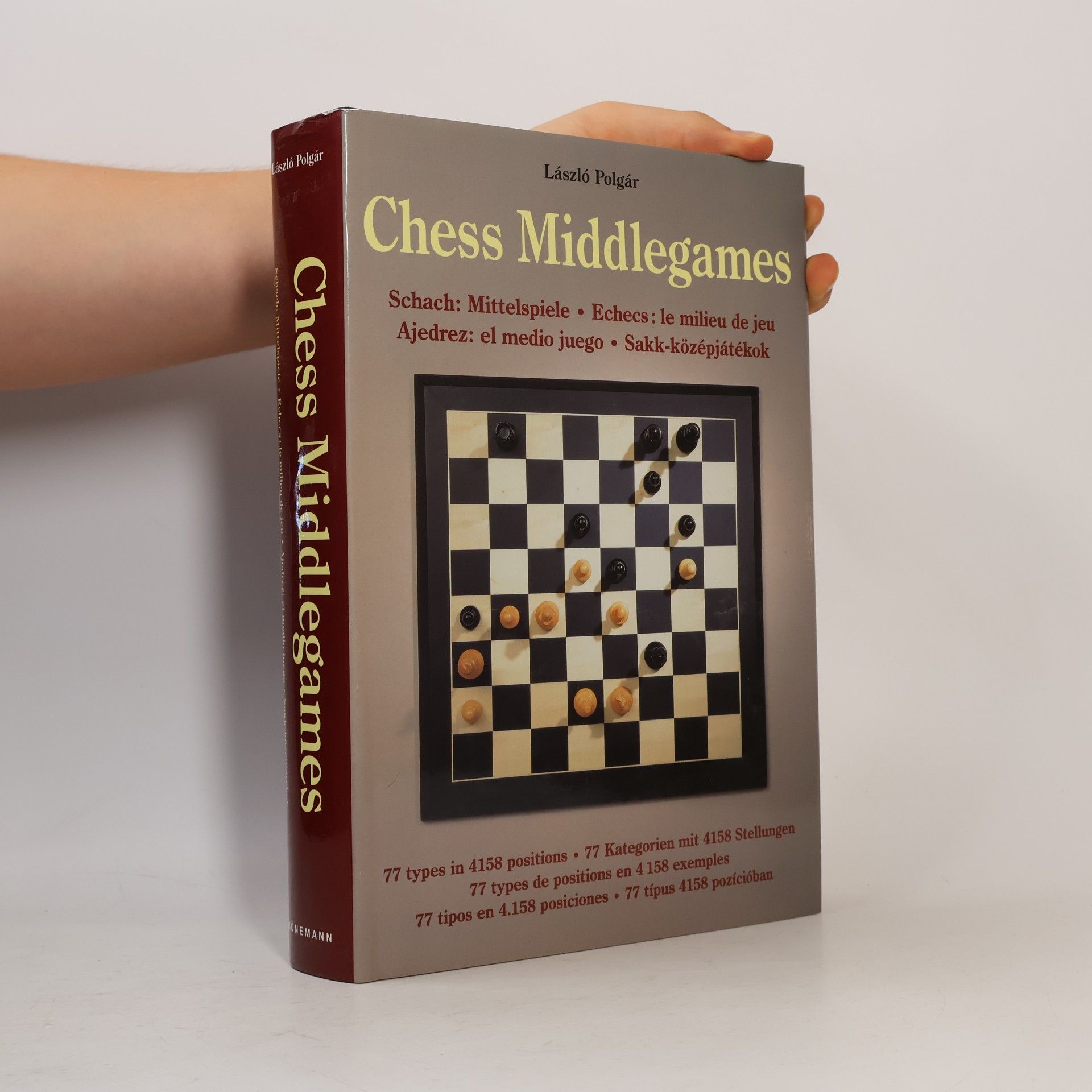László Polgár Middlegames