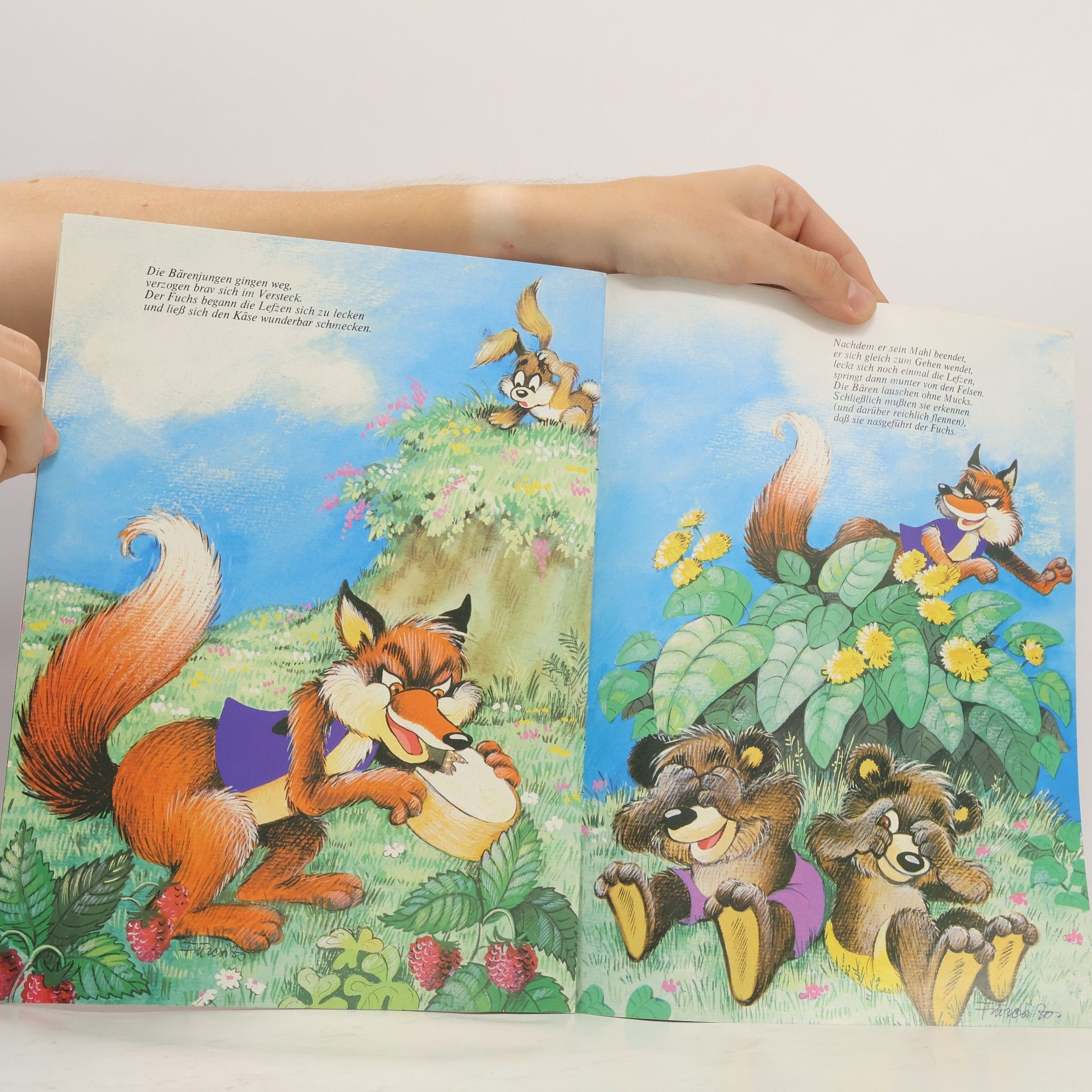 Géza Engl Die Bärenjungen und der Fuchs