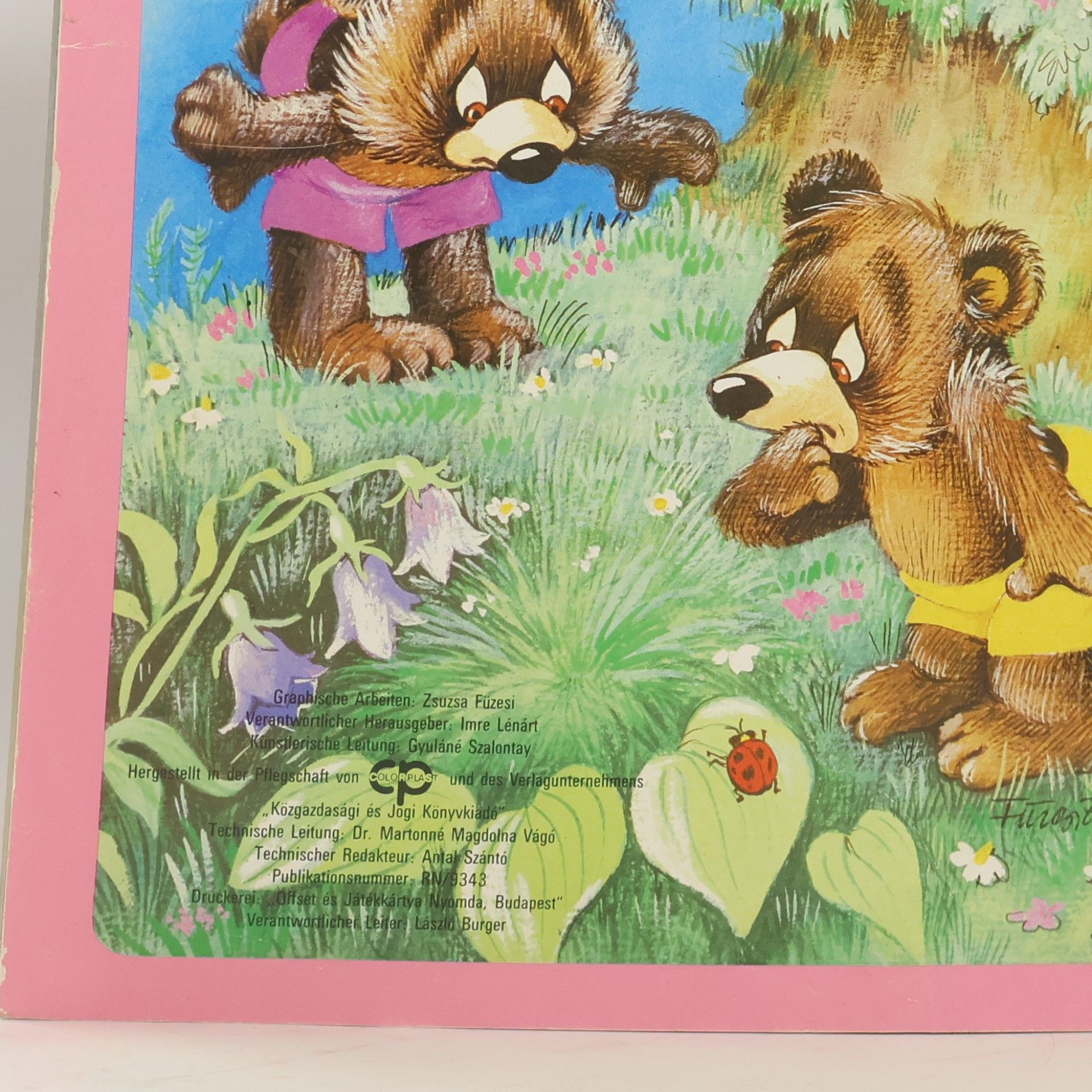 Géza Engl Die Bärenjungen und der Fuchs