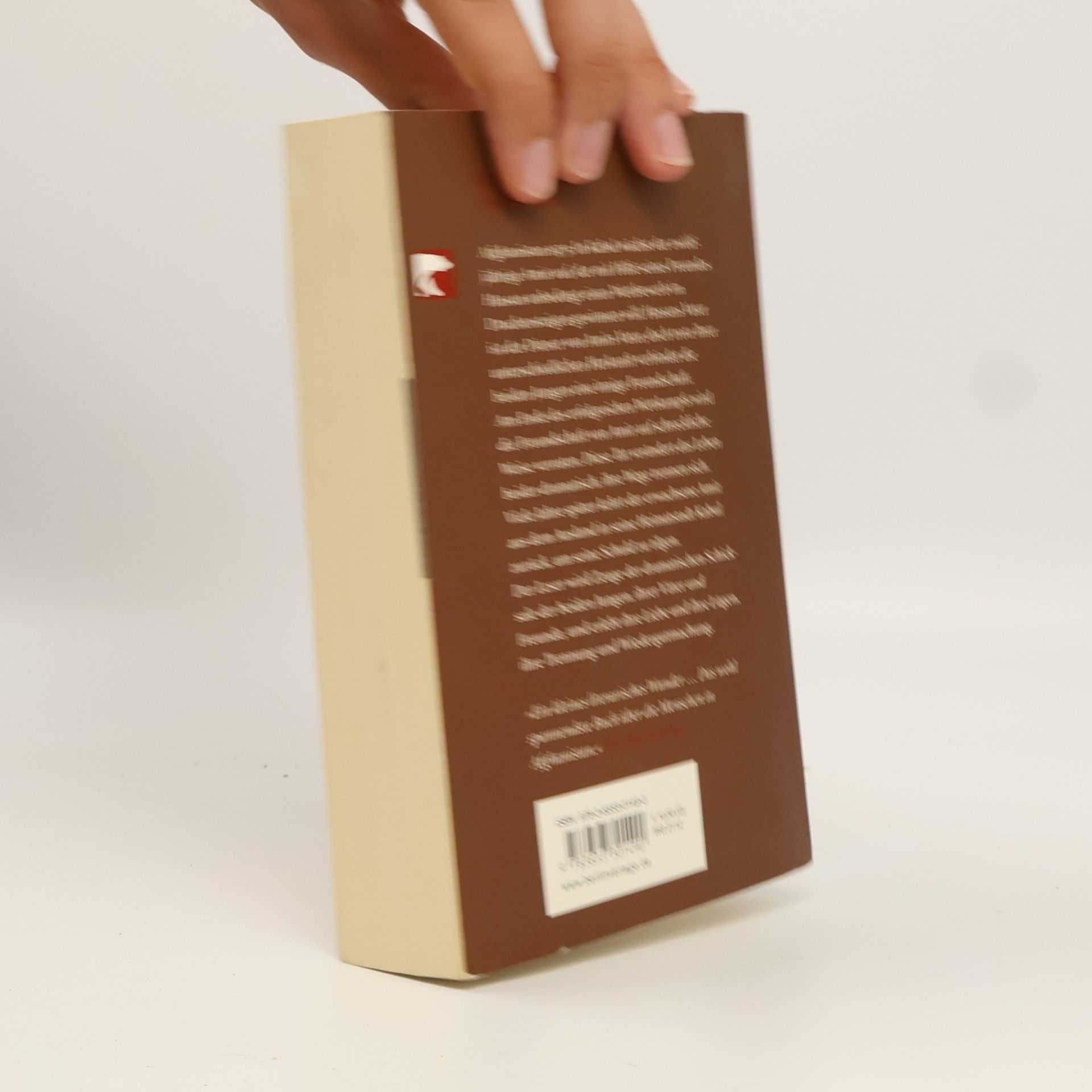 Khaled Hosseini Drachenläufer