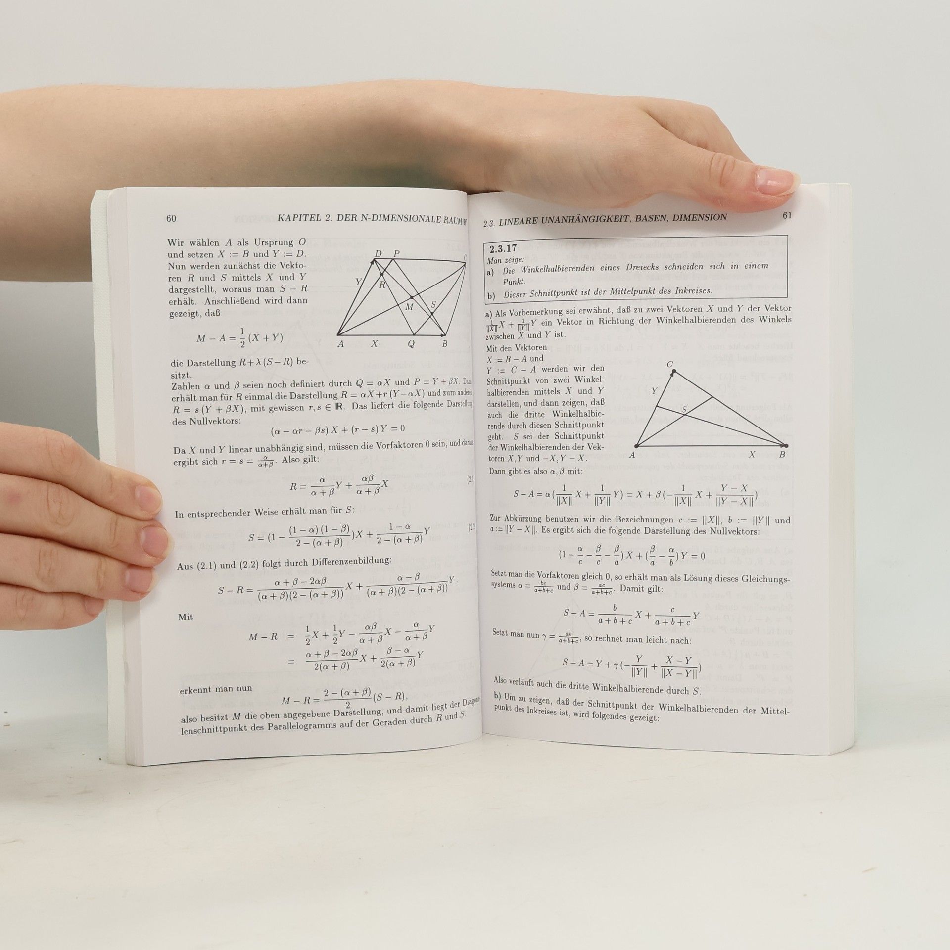Detlef Wille Repetitorium der linearen Algebra