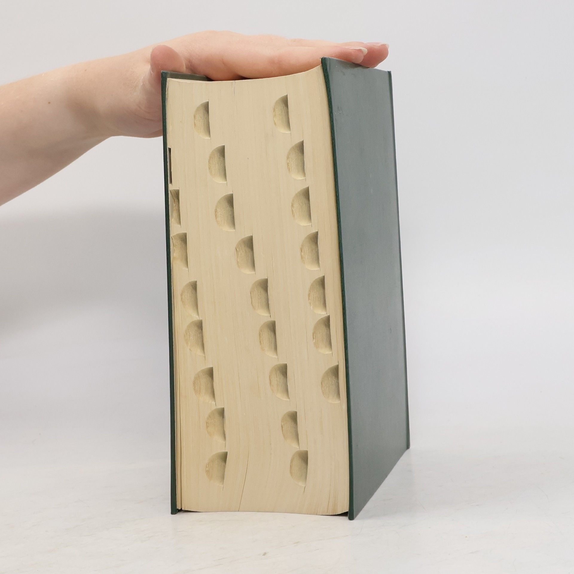 Autorenkollektiv MSD-Manual der Diagnostik und Therapie