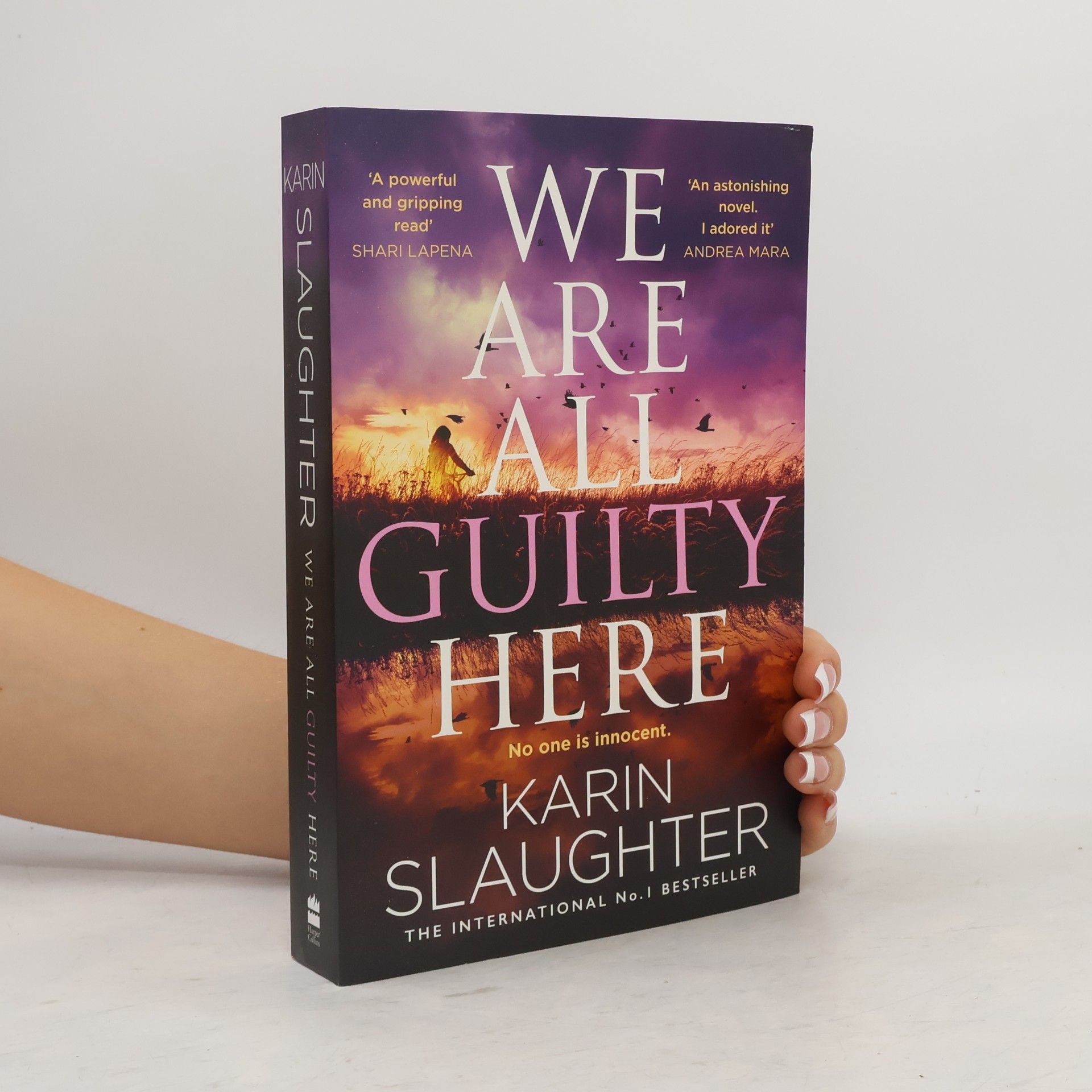 Karin Slaughter We Are All Guilty Here