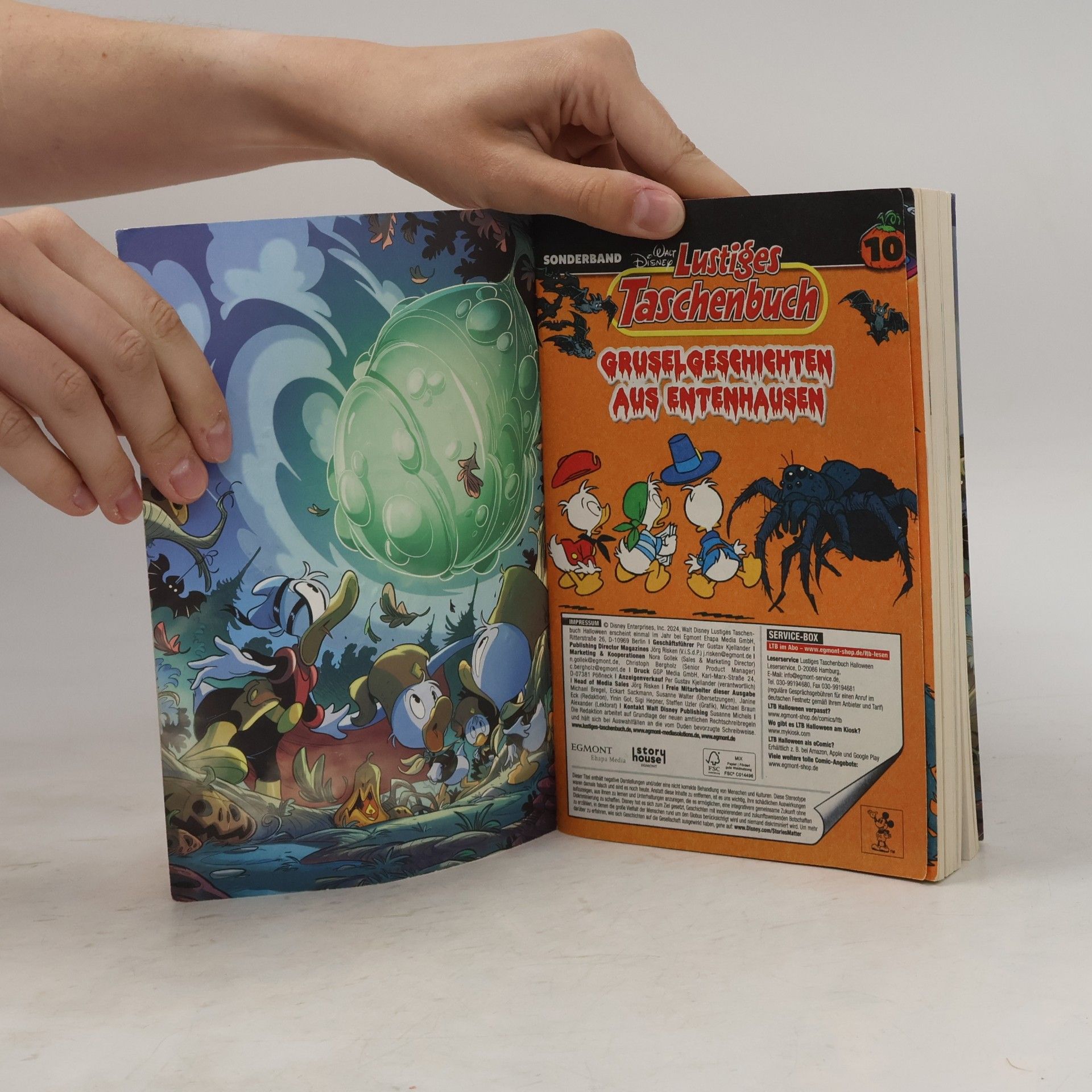 Kolektiv autorů Lustiges Taschenbuch Halloween 10