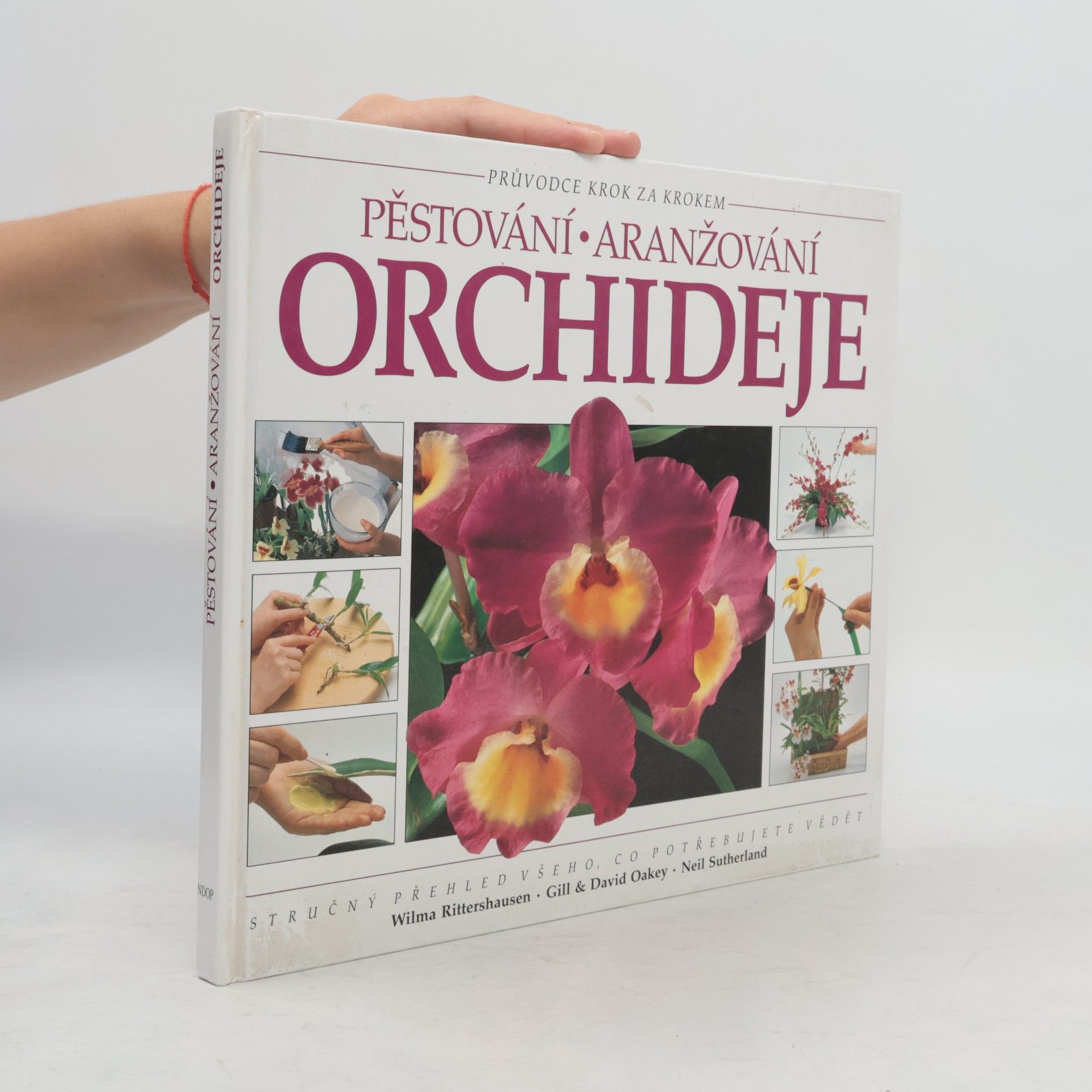 neuveden Pěstování aranžování: Orchideje