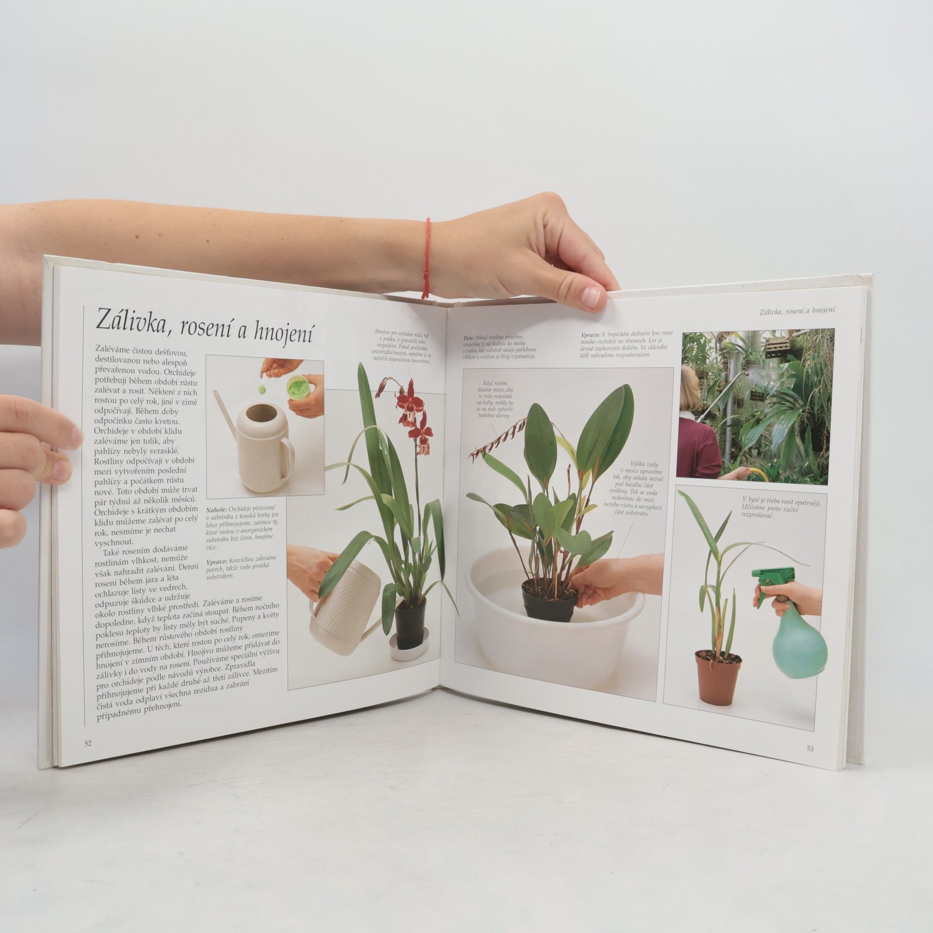 Kolektiv autorů Pěstování aranžování: Orchideje