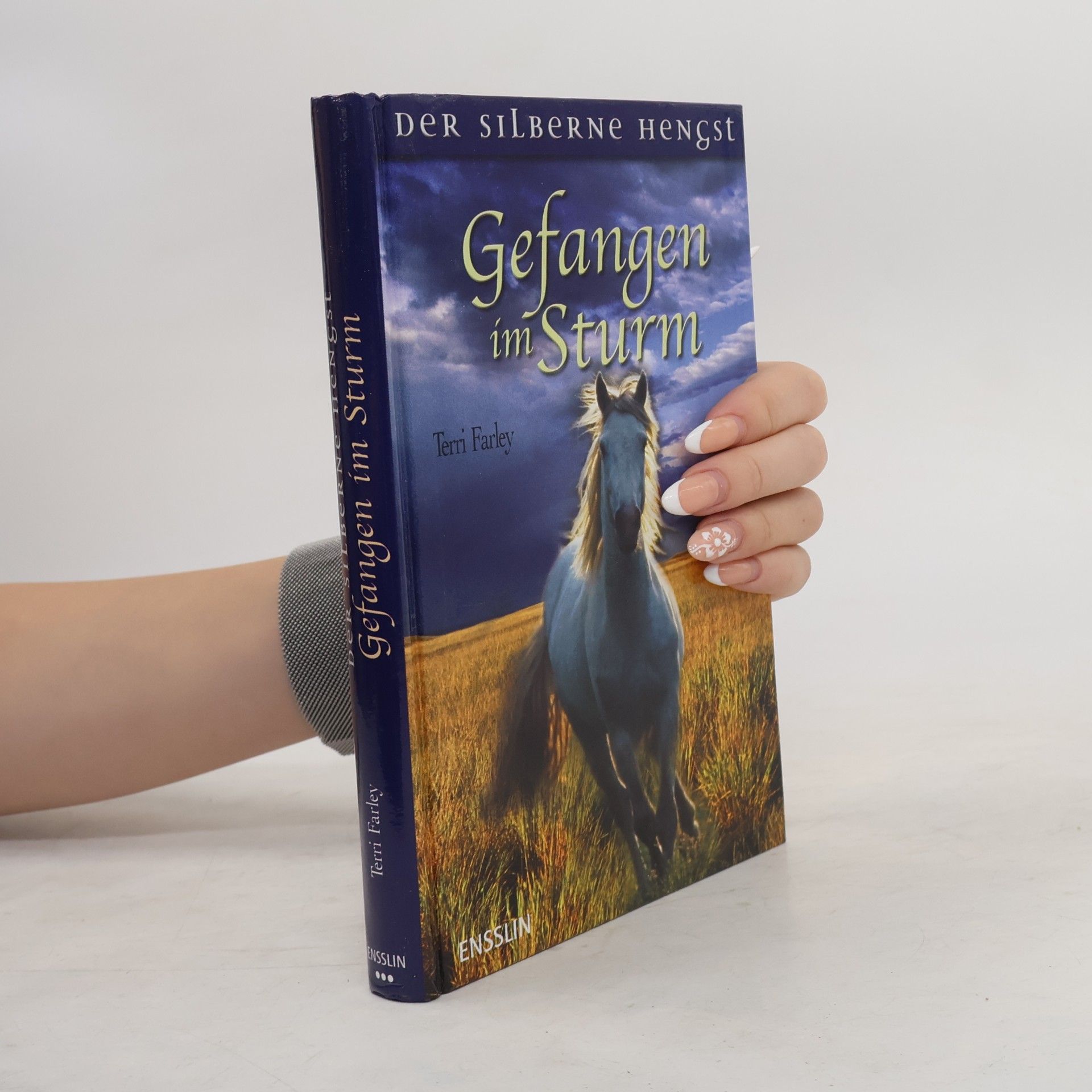 Terri Farley Gefangen im Sturm