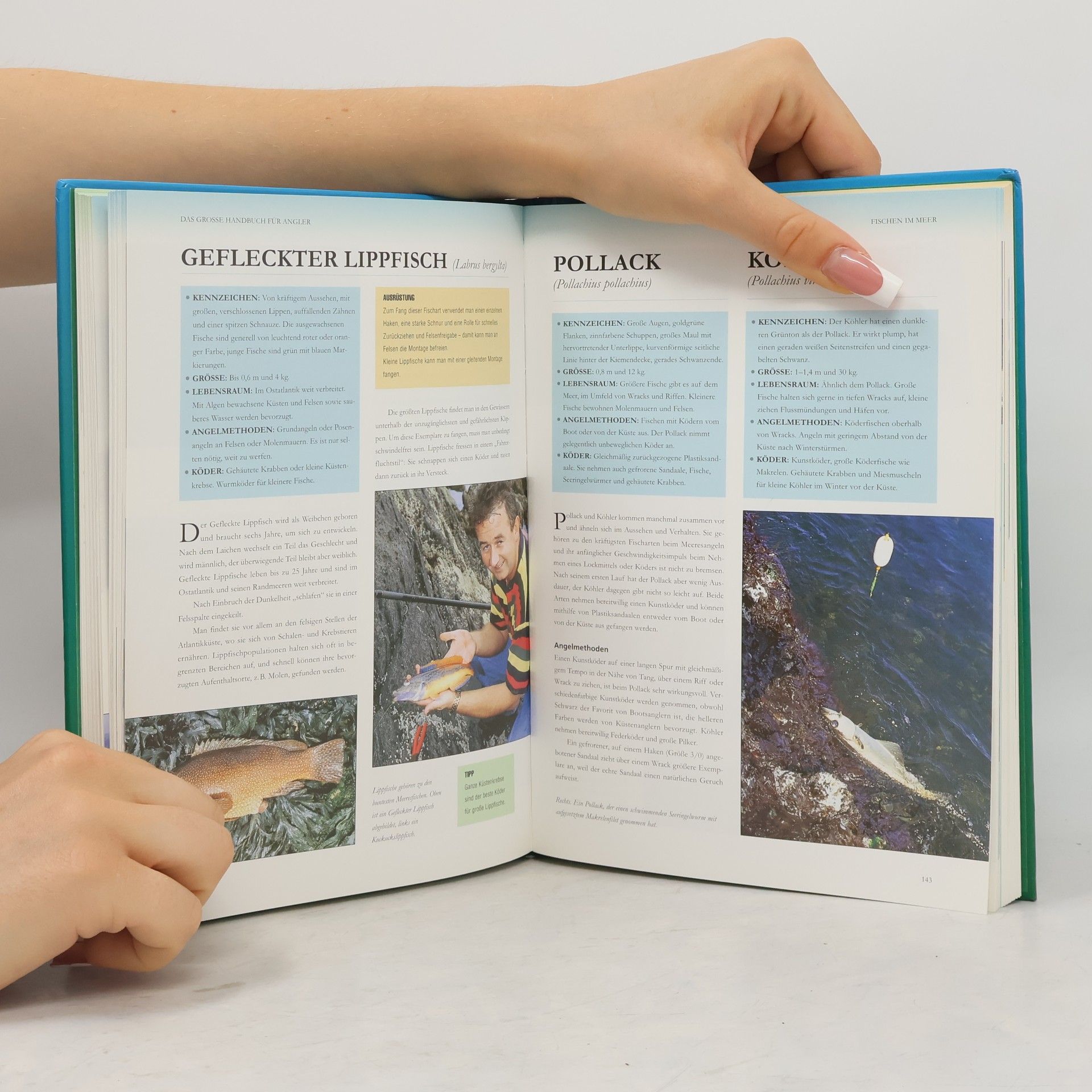 Gareth Purnell Das grosse Handbuch für Angler