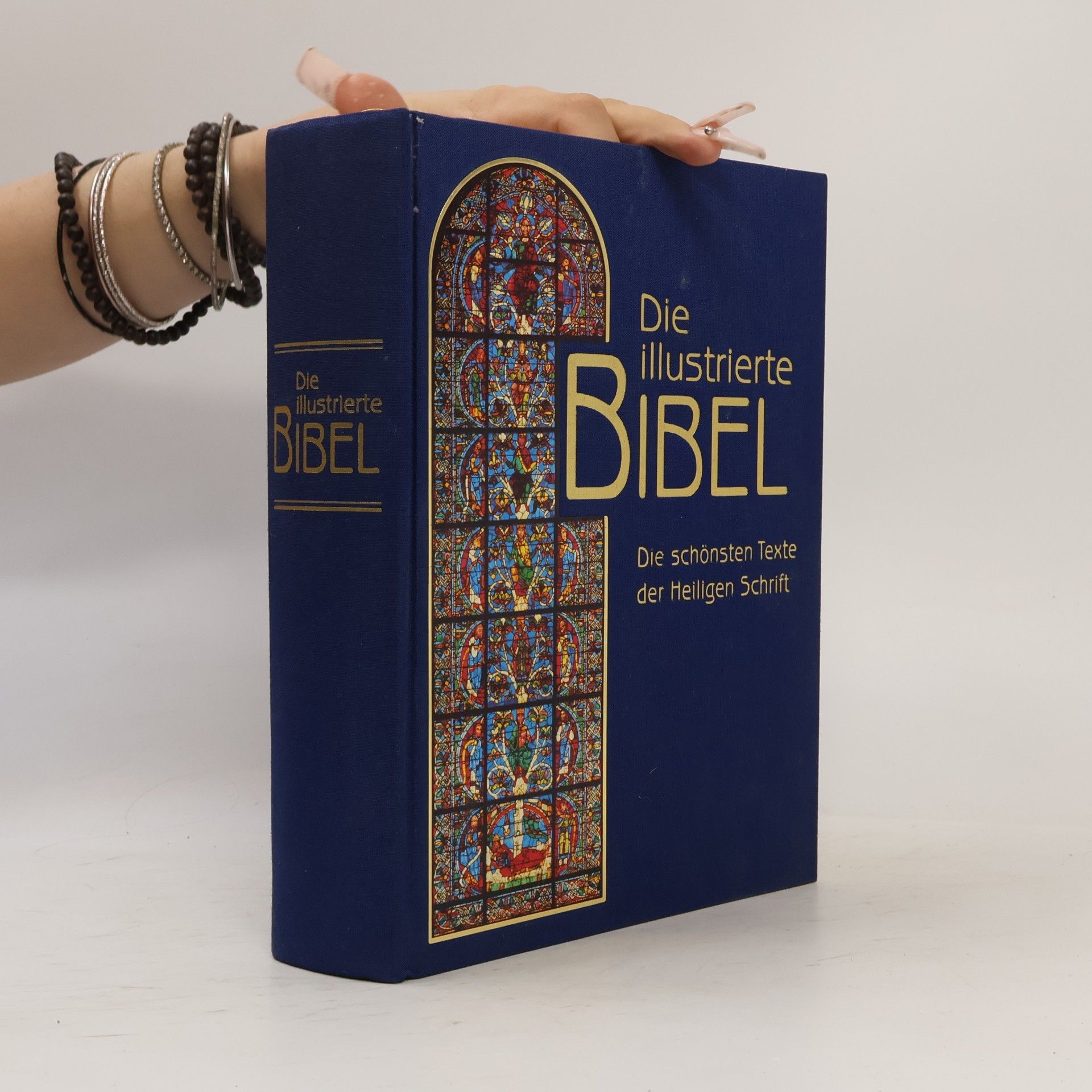 Falko Spiller Die illustrierte Bibel