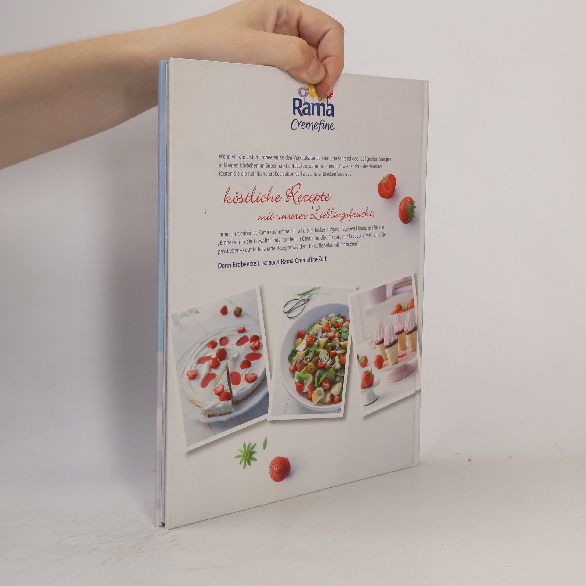 Autorenkollektiv Erdbeeren