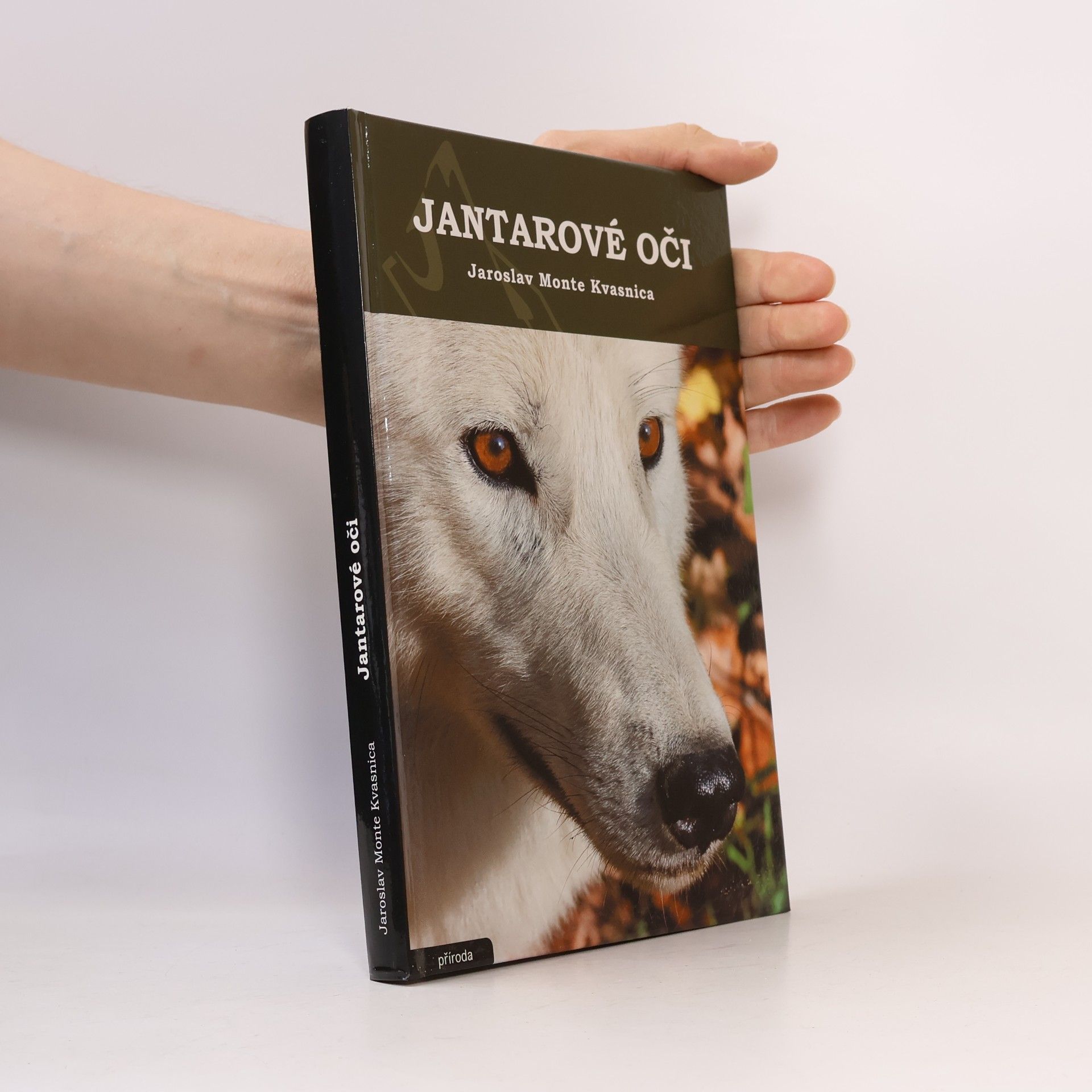 Jaroslav Kvasnica Jantarové oči