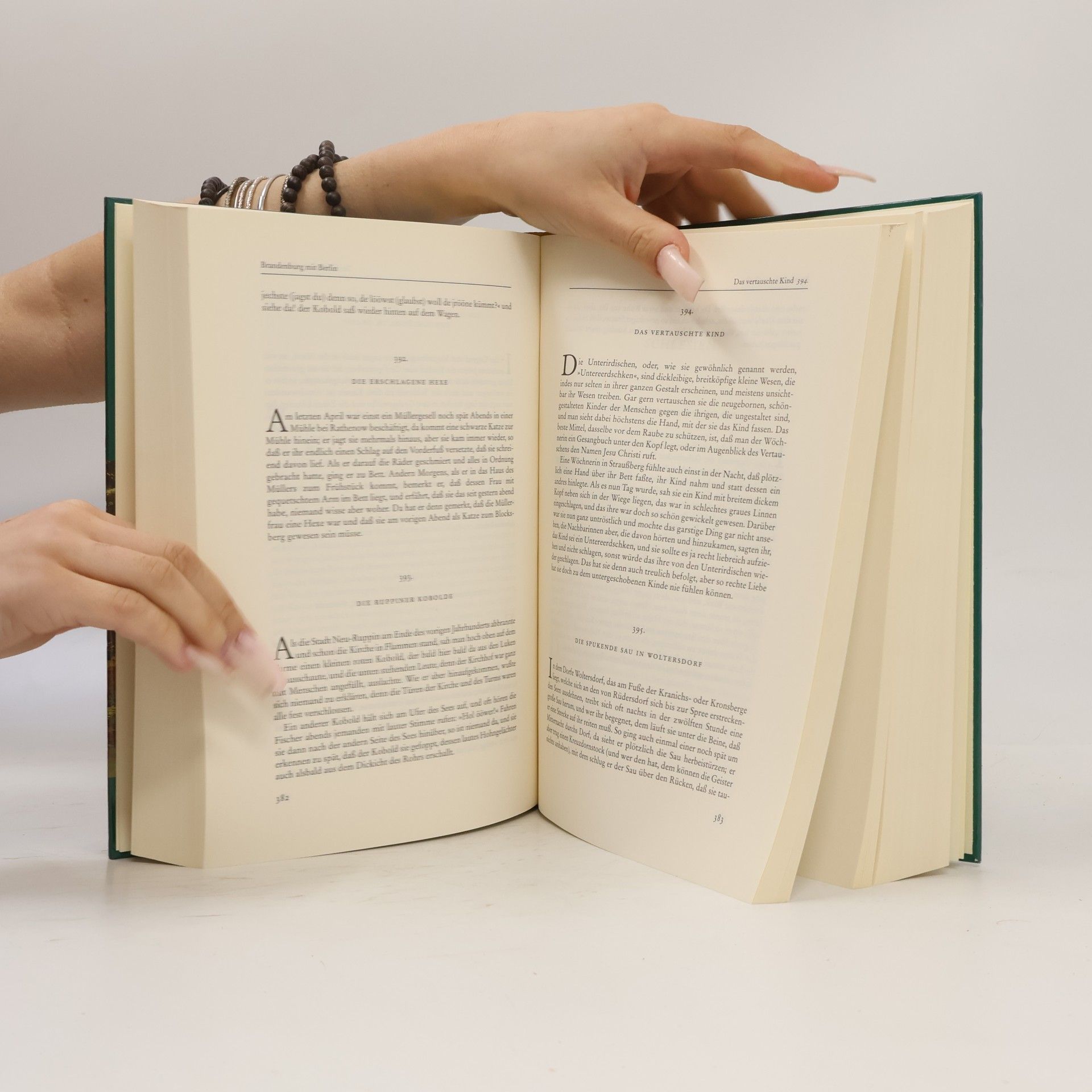 Heinz Rölleke Das große deutsche Sagenbuch