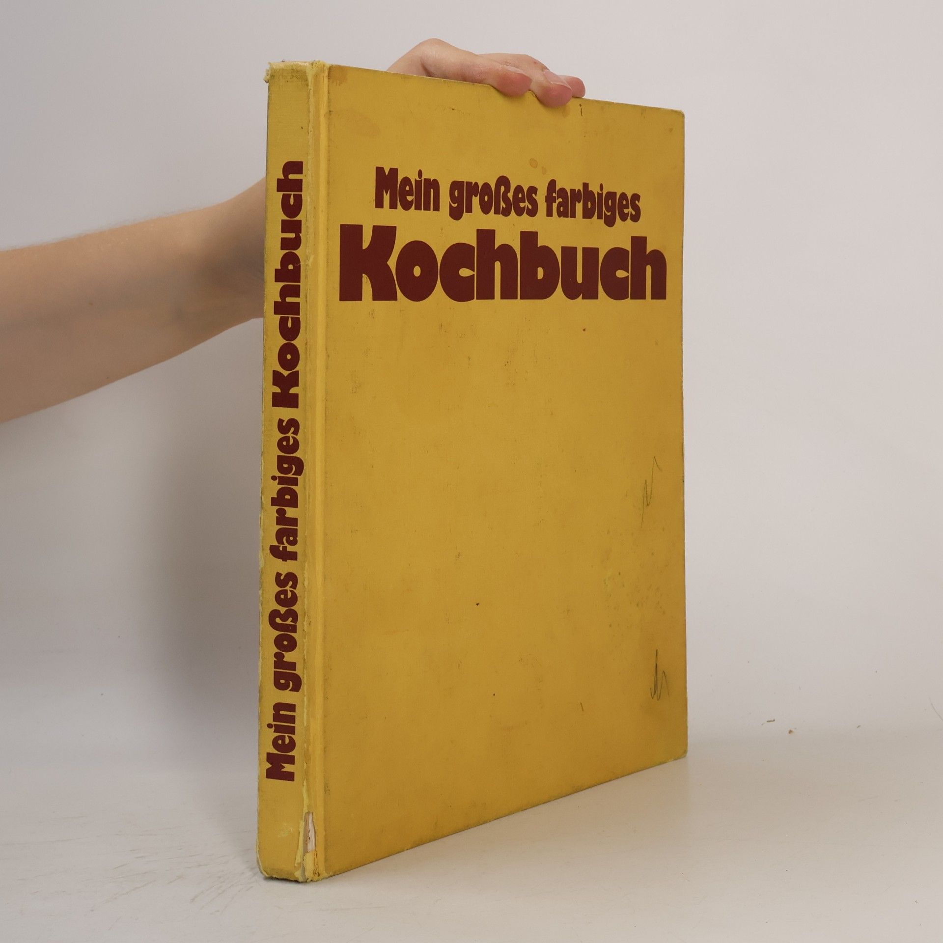 Katrin Gerlach Mein großes farbiges. Kochbuch