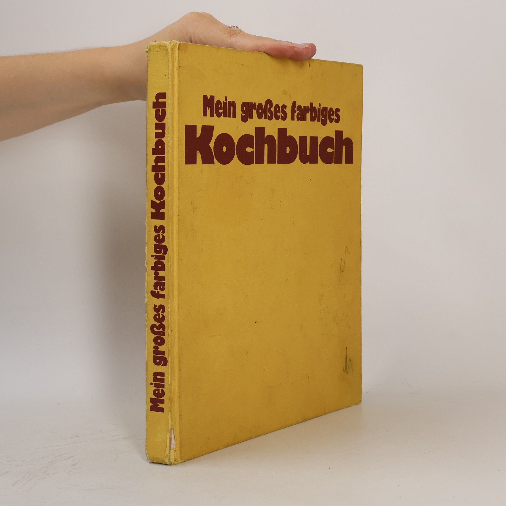 Katrin Gerlach Mein großes farbiges. Kochbuch