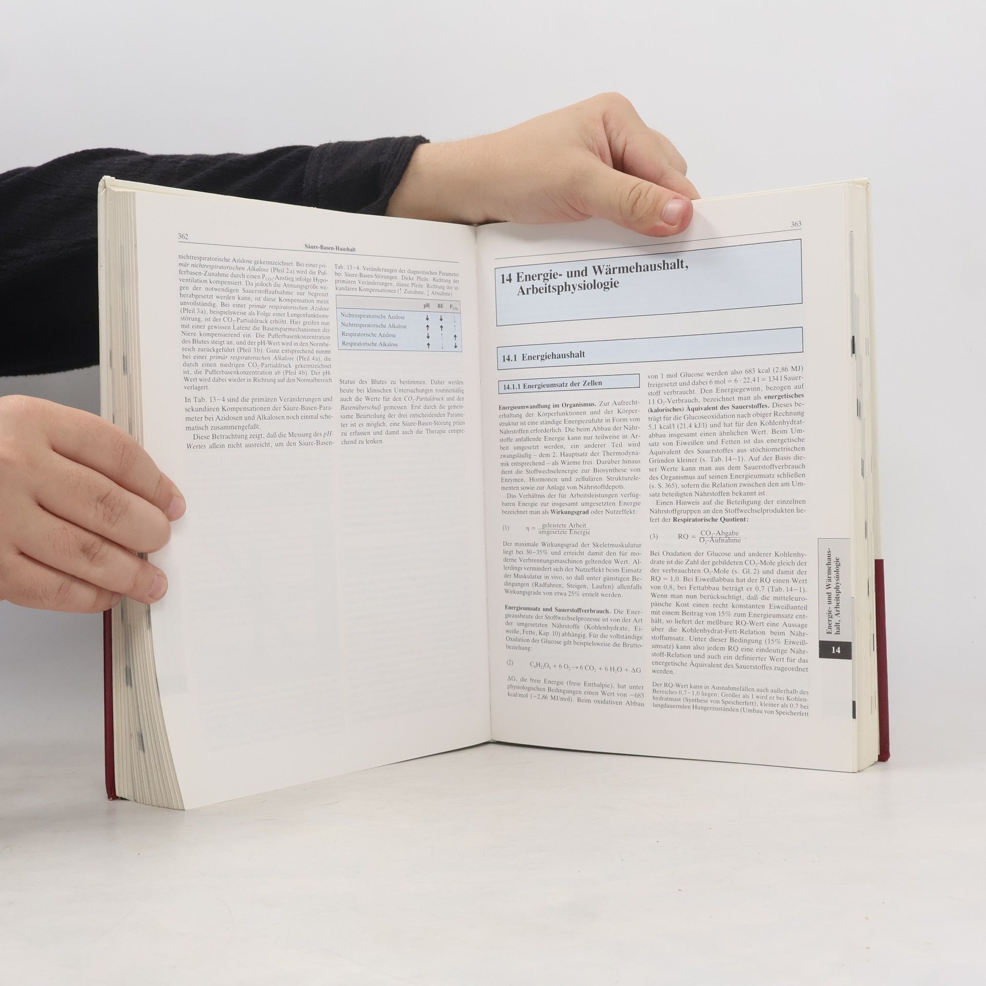 Gerhard Thews Anatomie, Physiologie, Pathophysiologie des Menschen - 3., völlig neu bearbeitete und erweiterte Auflage