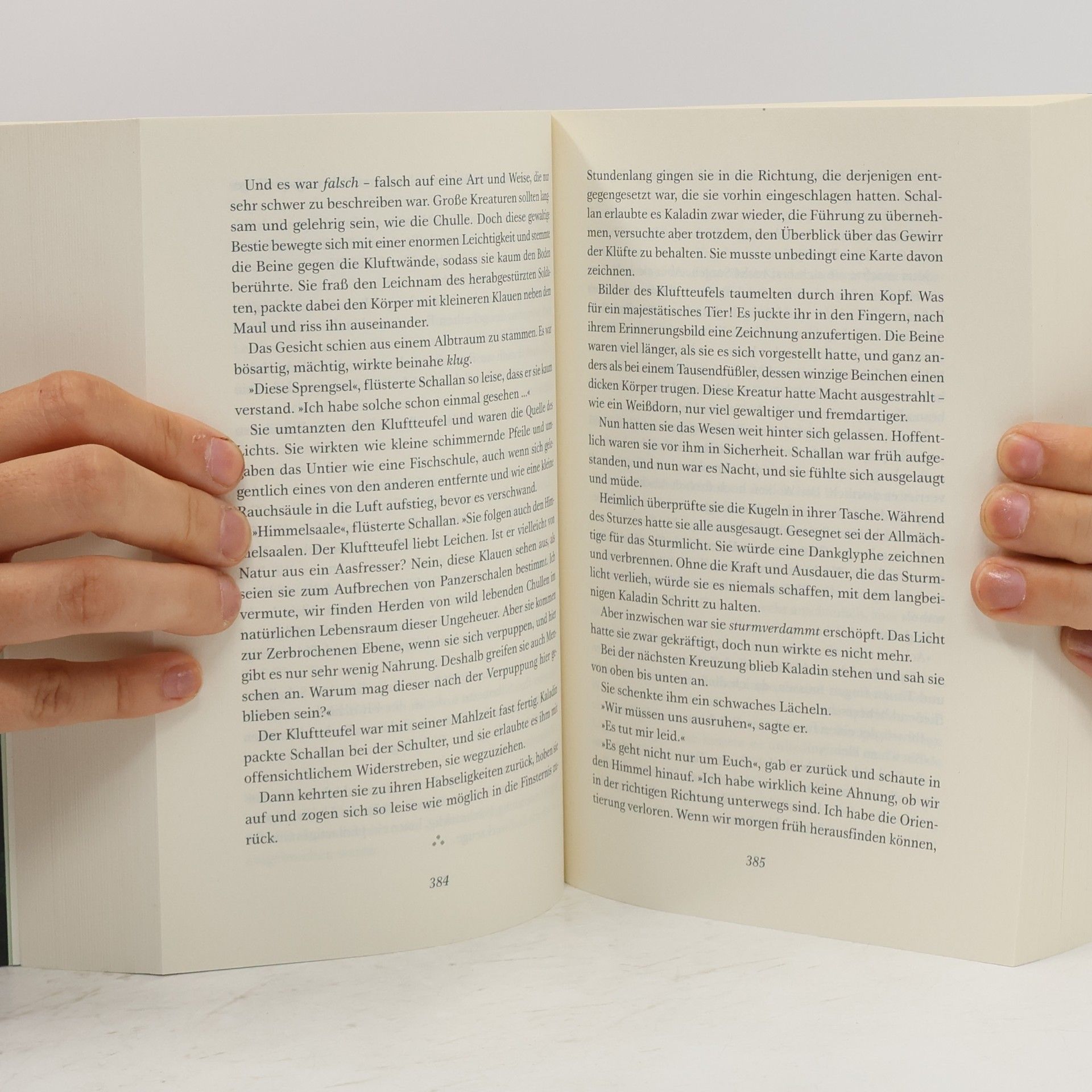 Brandon Sanderson Die Stürme des Zorns