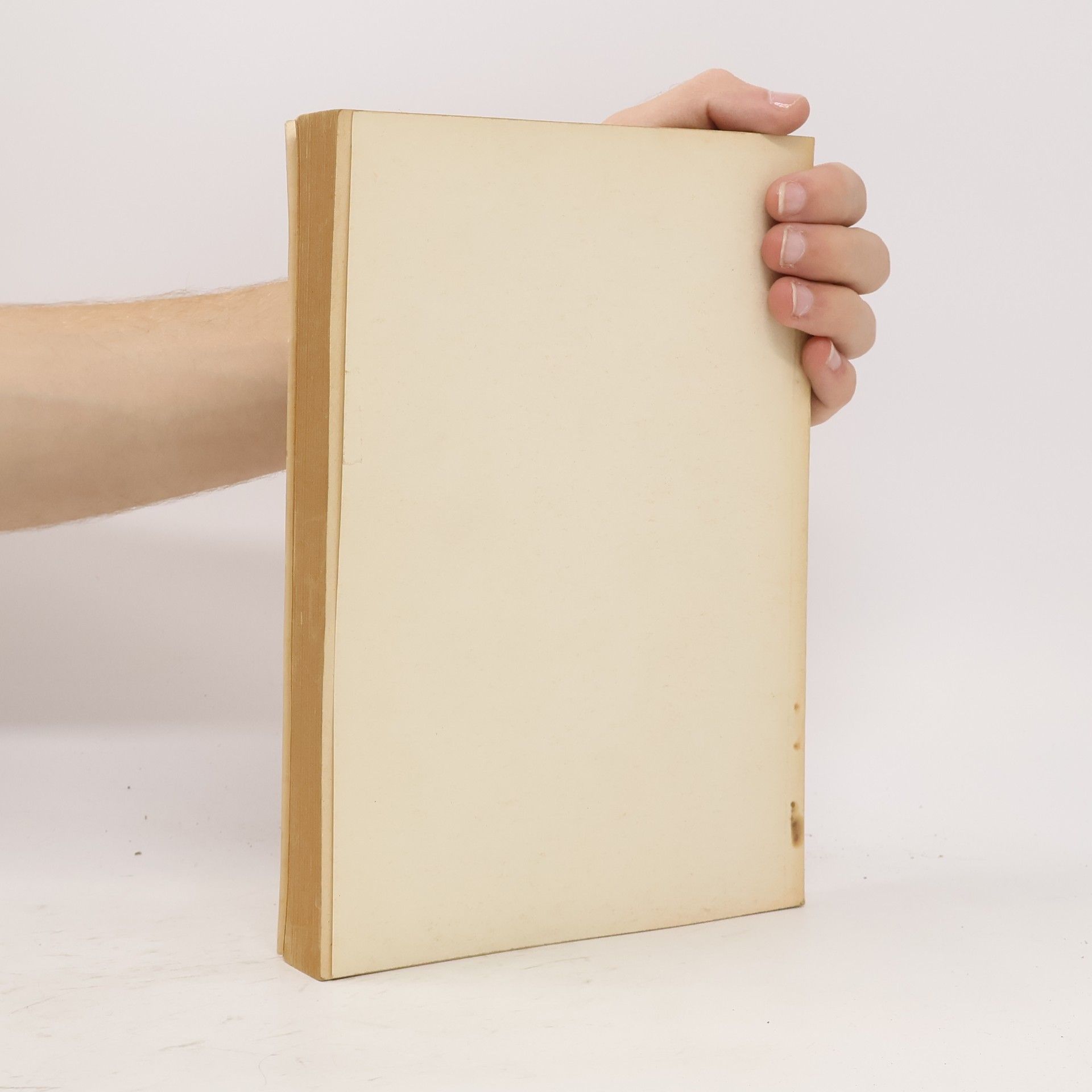 Ilse Heller Geschichte