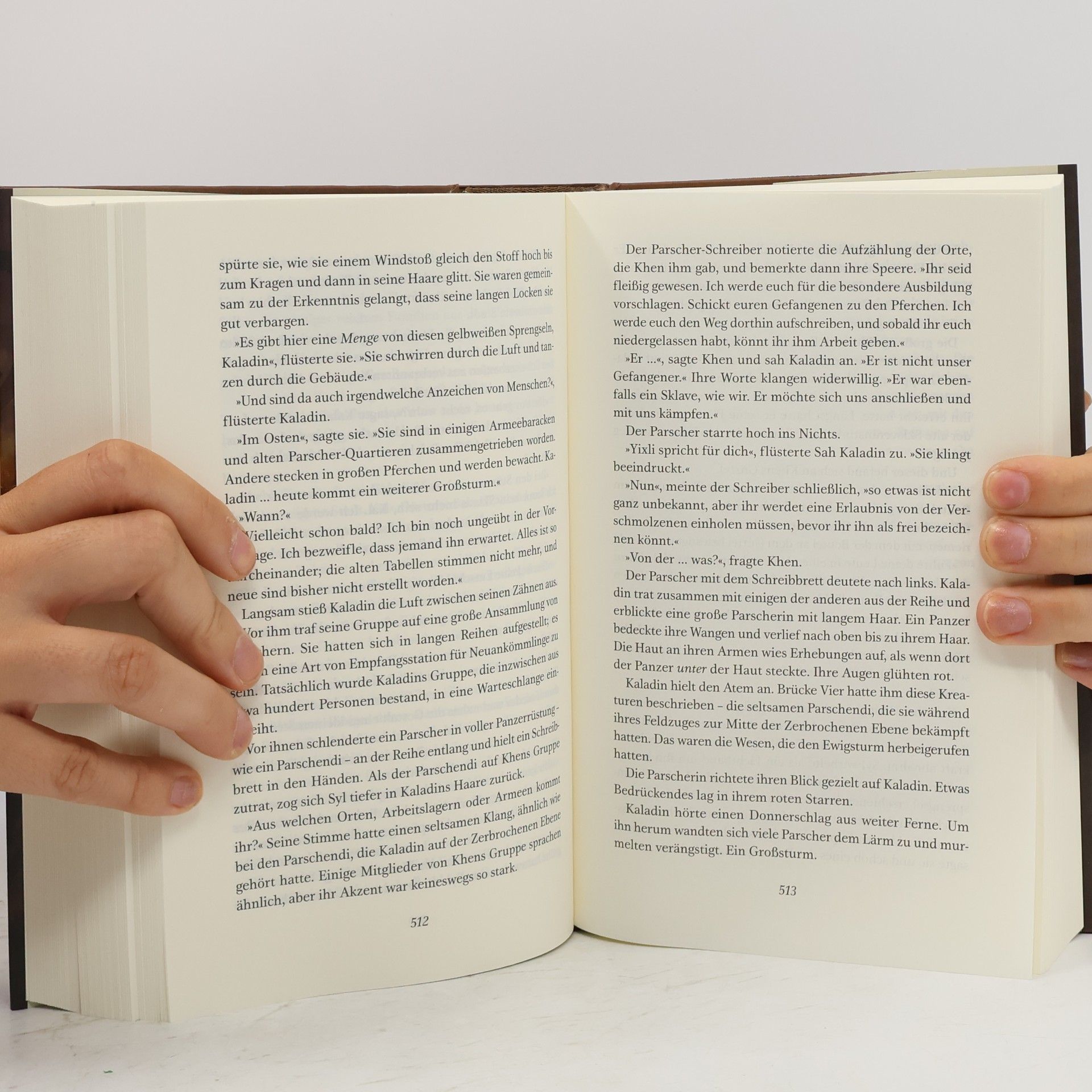 Brandon Sanderson Der Ruf der Klingen