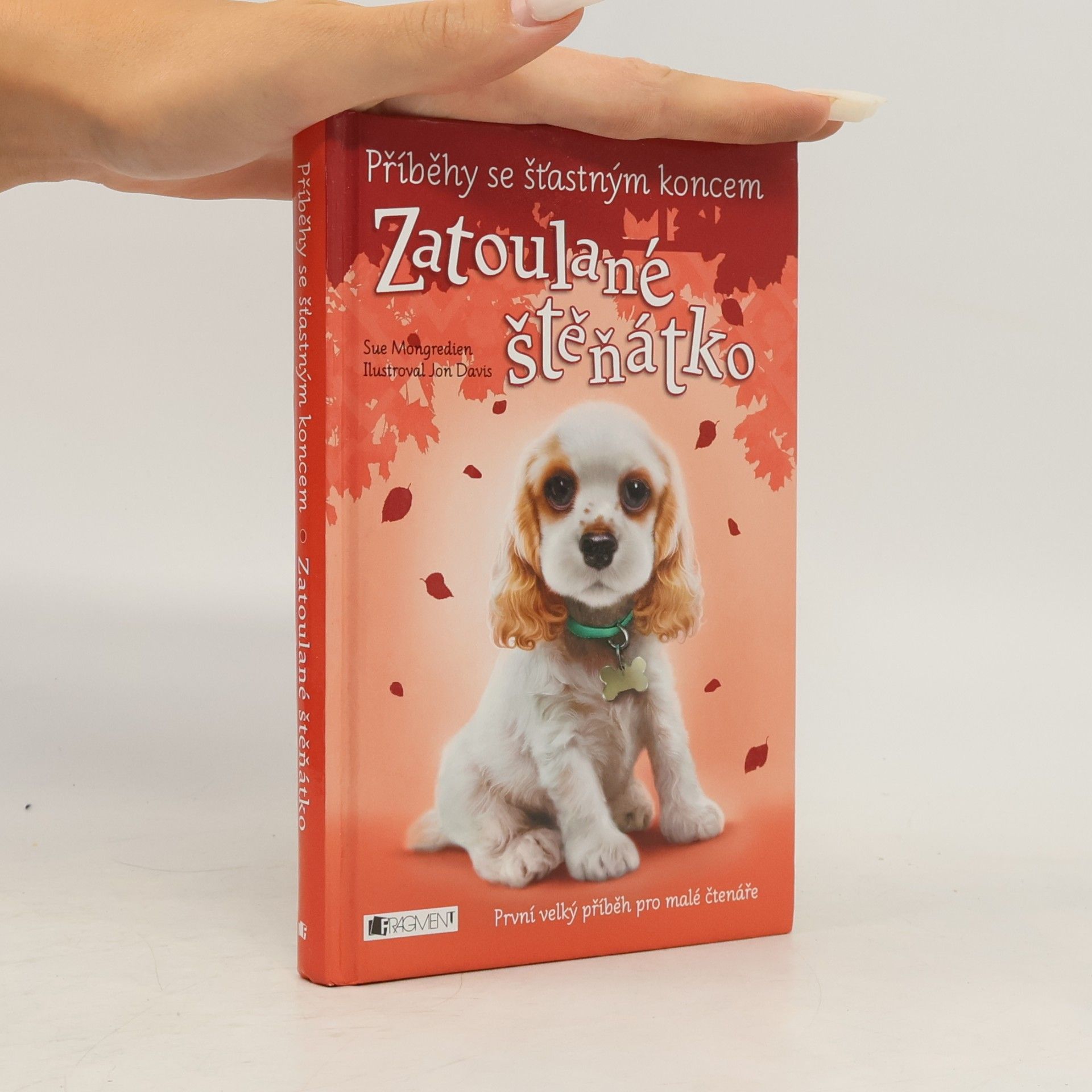 Lucy Diamond Zatoulané štěňátko
