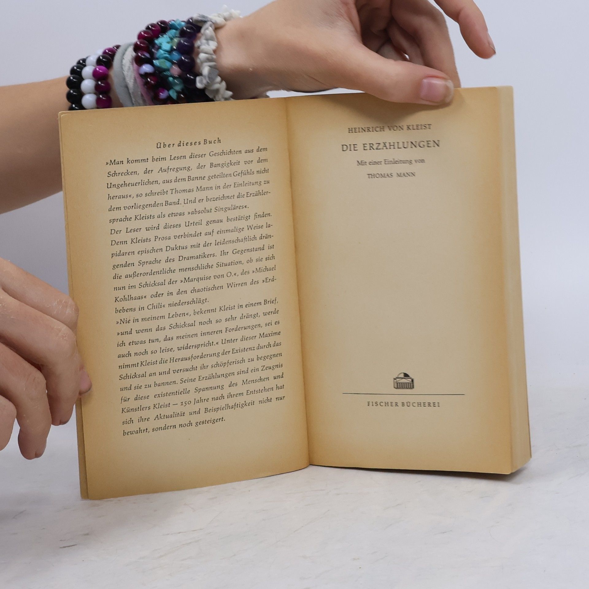 Heinrich von Kleist Die Erzählungen