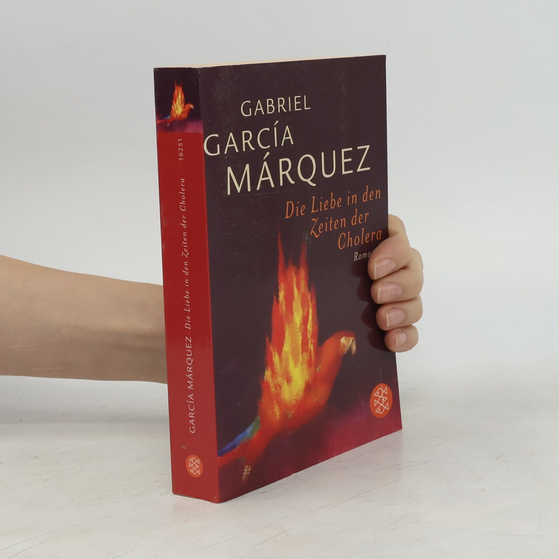 Gabriel García Márquez Die Liebe in den Zeiten der Cholera