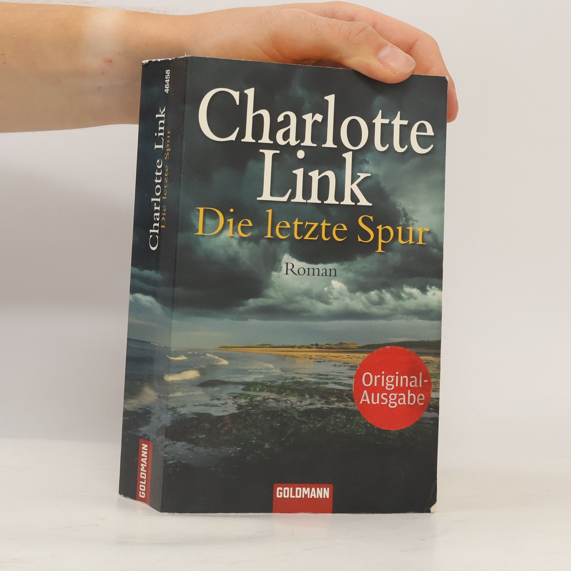 Charlotte Link Die letzte Spur