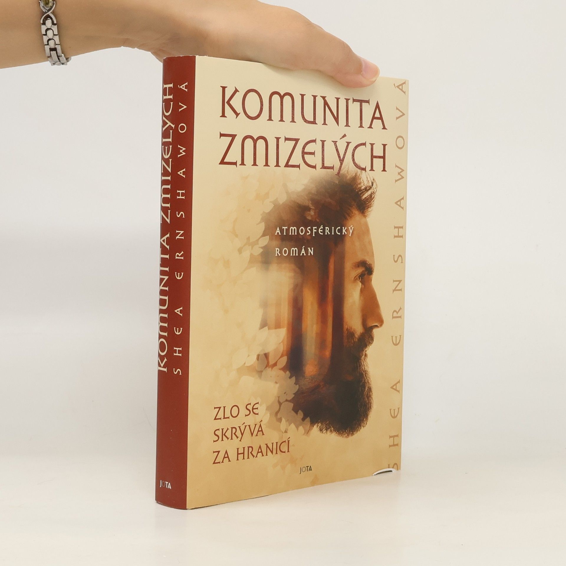 Shea Ernshaw Komunita zmizelých