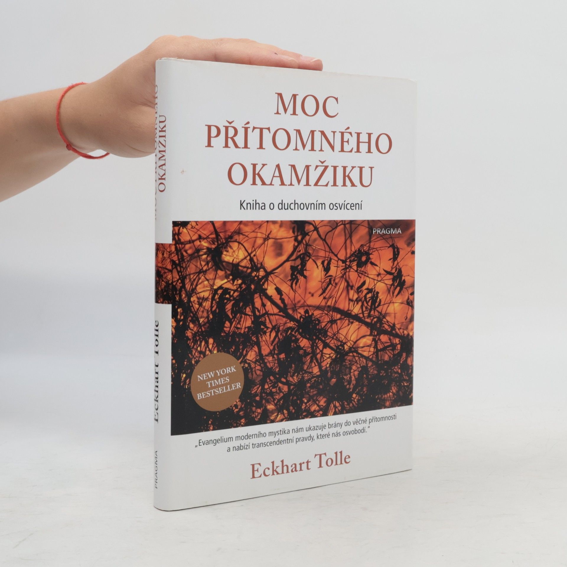 Eckhart Tolle Moc přítomného okamžiku