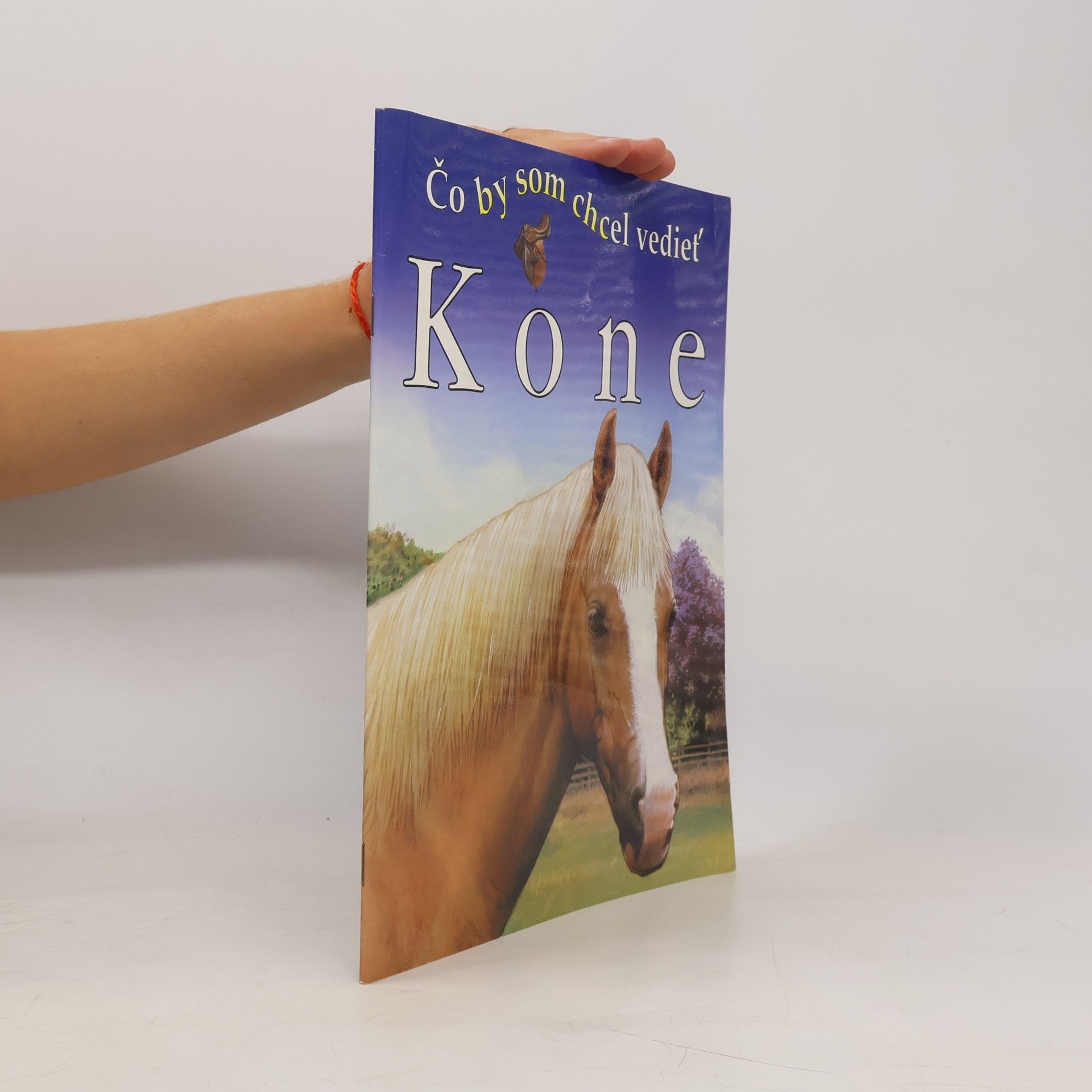 Kone. Čo by som chcel vedieť.