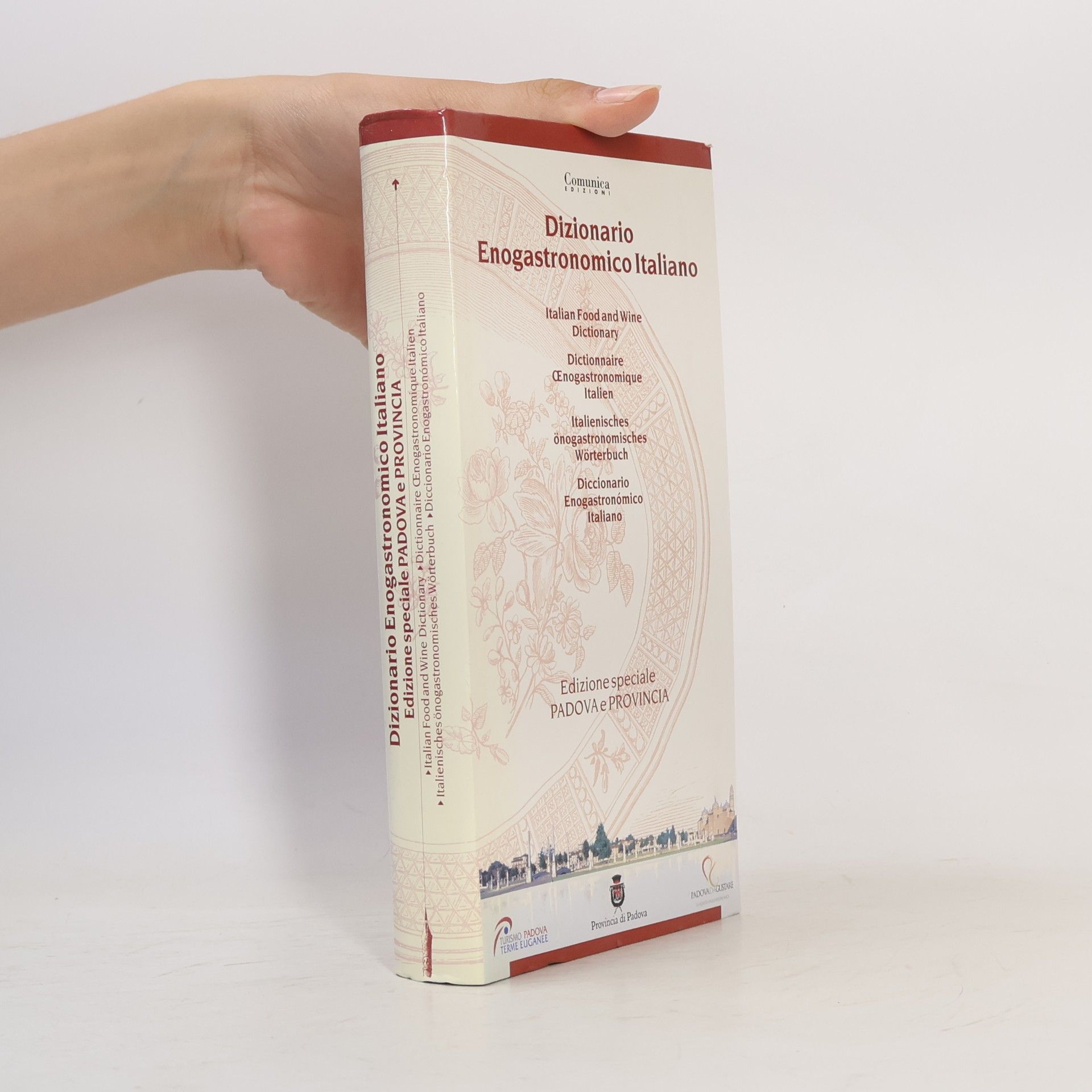 Kolektiv autorů Dizionario Enogastronomico Italiano