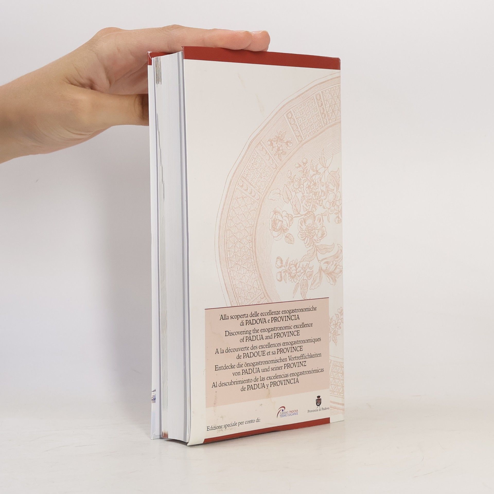 Kolektiv autorů Dizionario Enogastronomico Italiano
