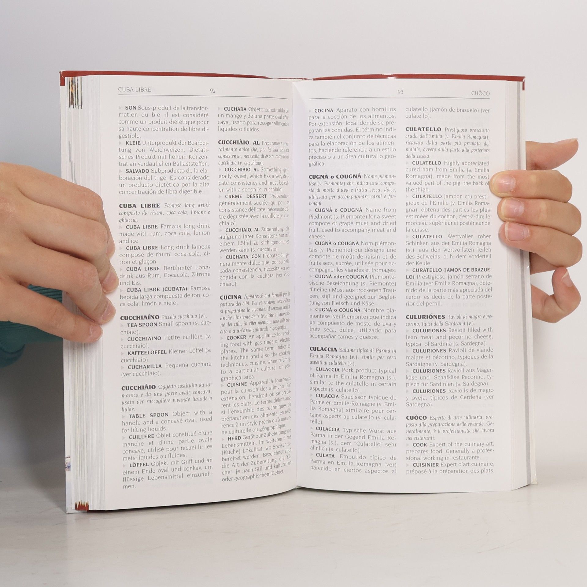 Kolektiv autorů Dizionario Enogastronomico Italiano