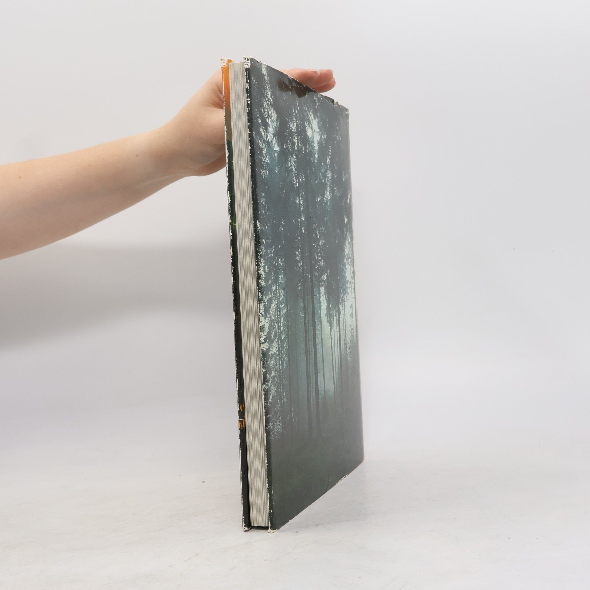 Kolektív autorov Belgien und Luxemburg