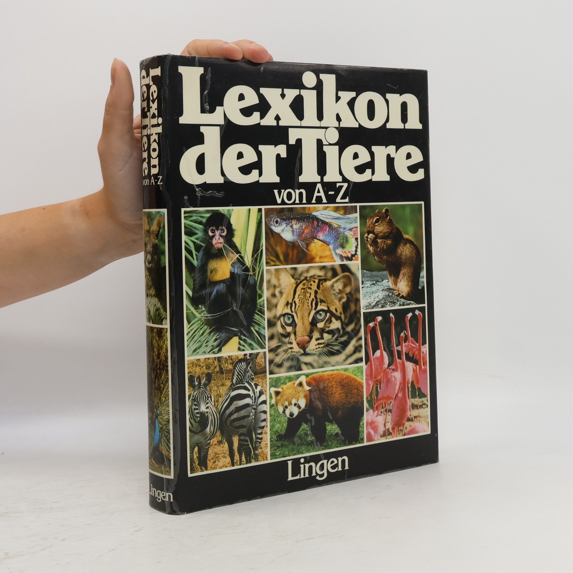 Autorenkollektiv Lexikon der Tiere von A-Z