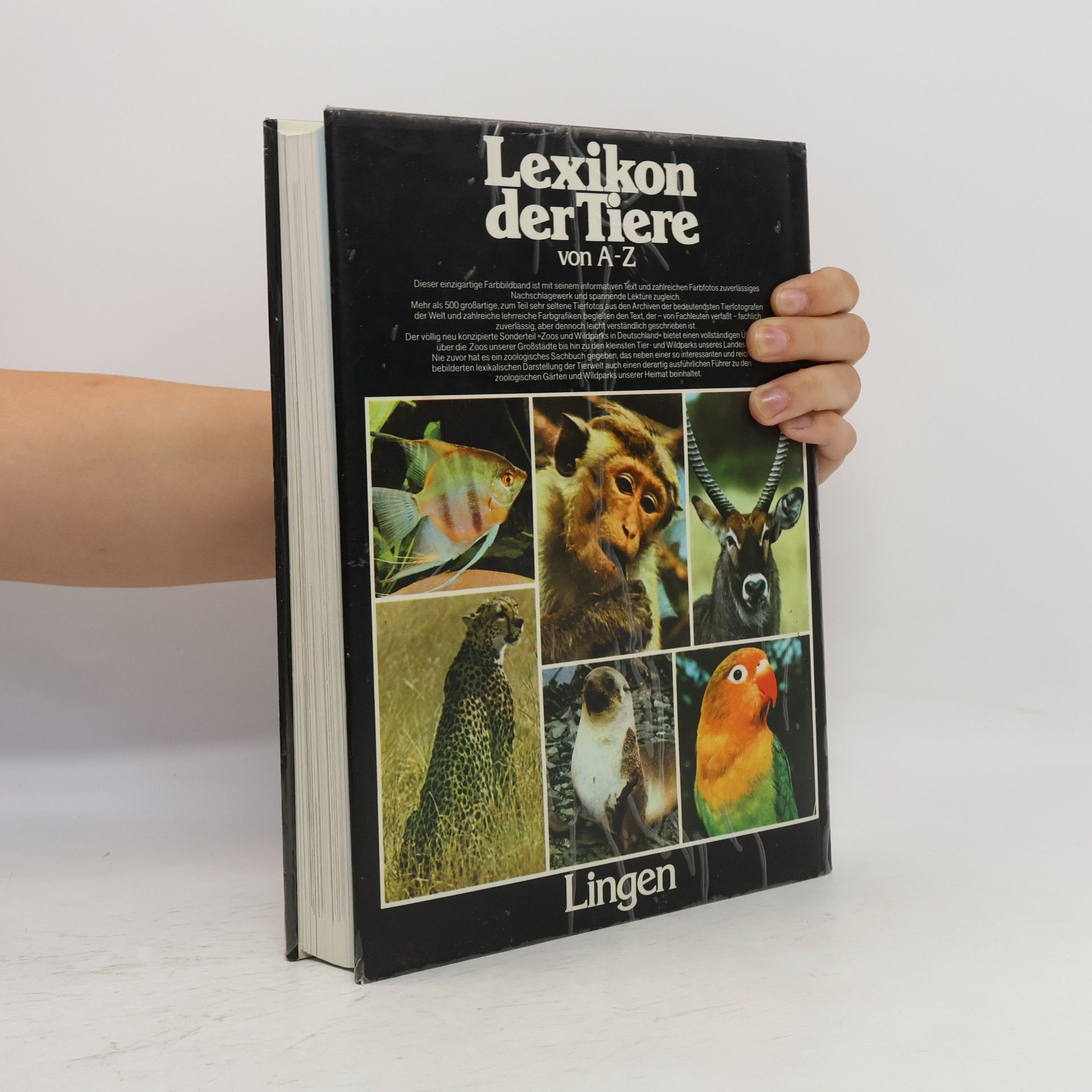 Autorenkollektiv Lexikon der Tiere von A-Z