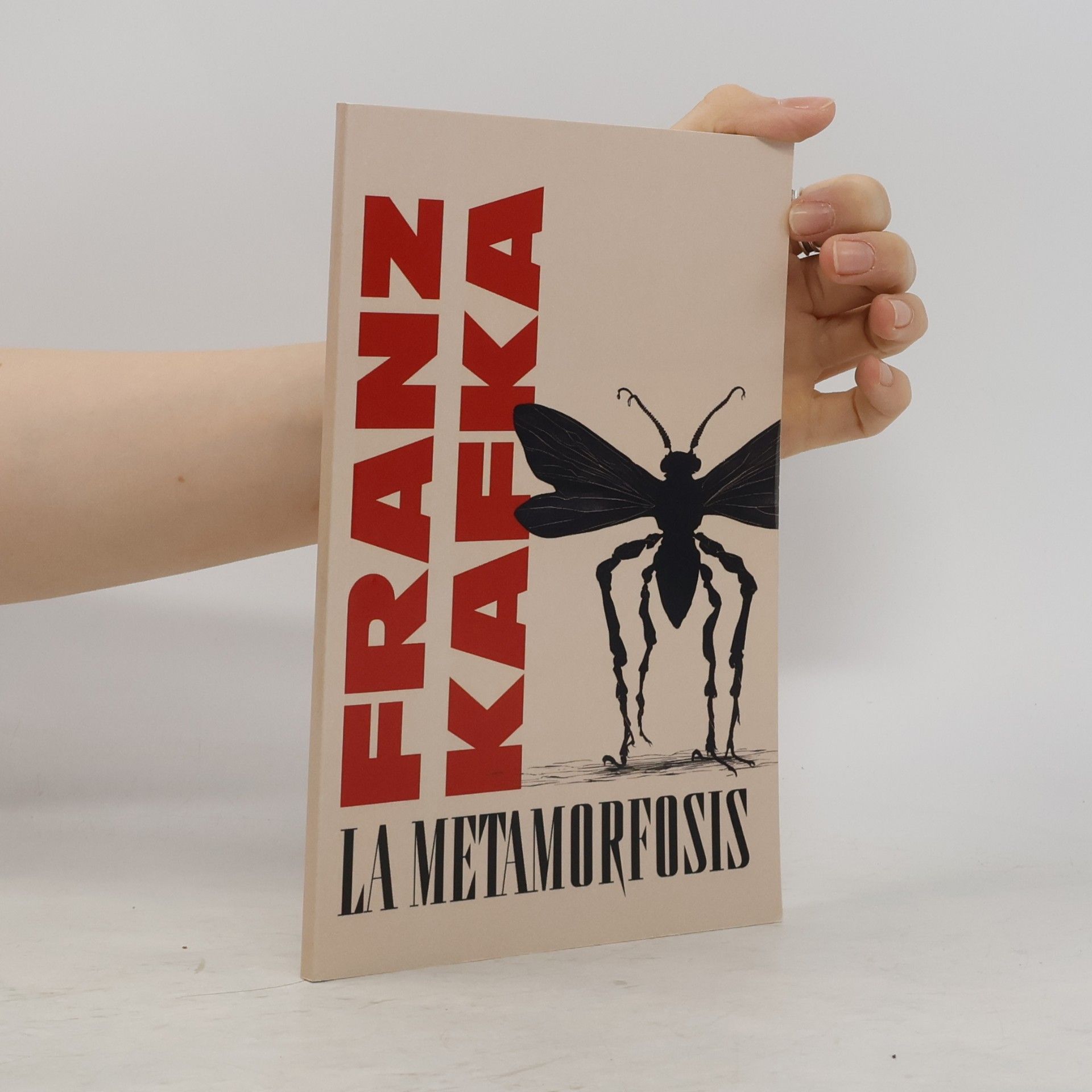 Susana Pradillo La Metamorfosis