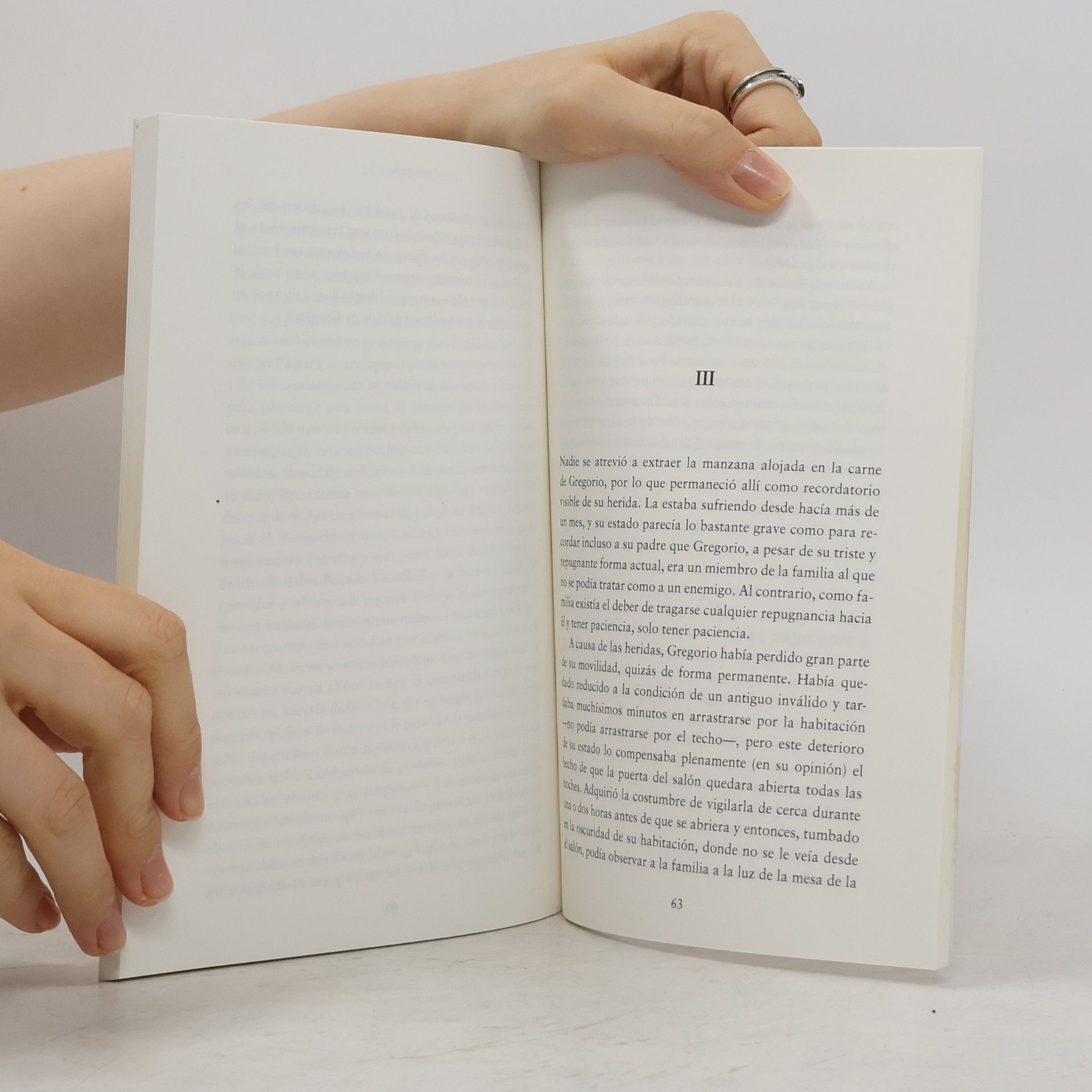 Franz Kafka La Metamorfosis