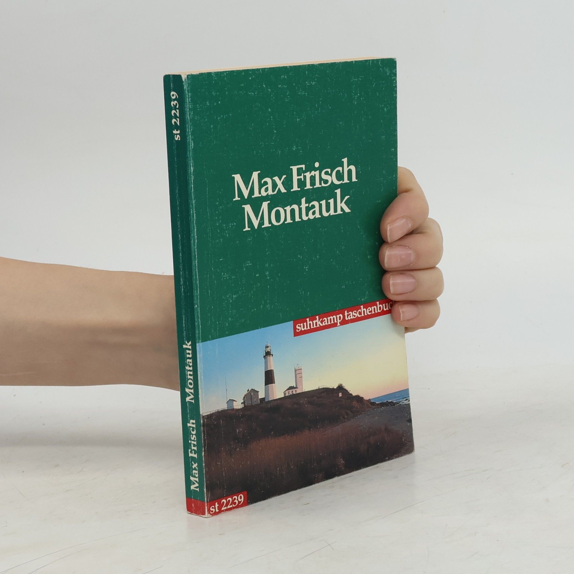 Max Frisch Montauk