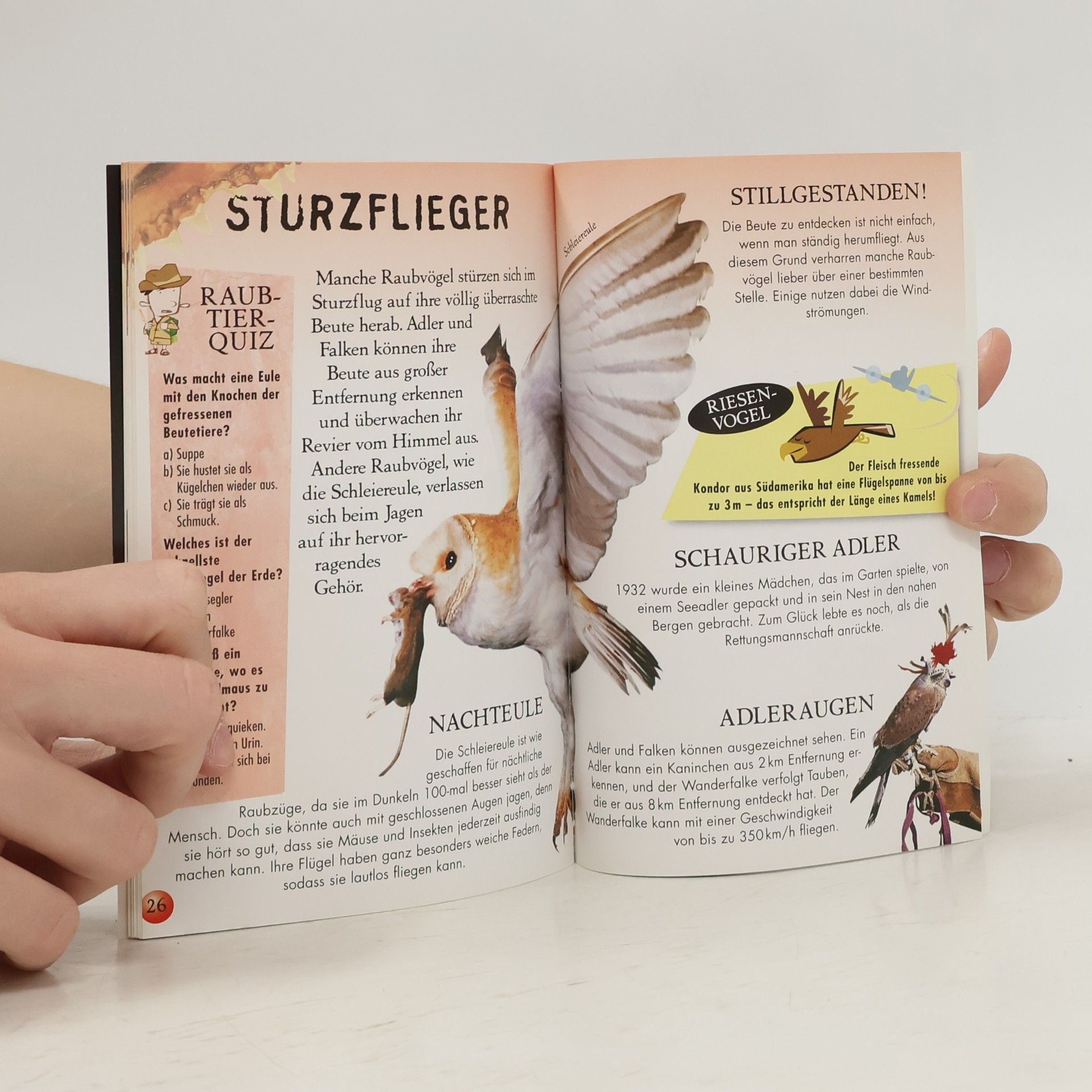 Anne Braun BlitzWissen: Raubtiere - wild und gefährlich