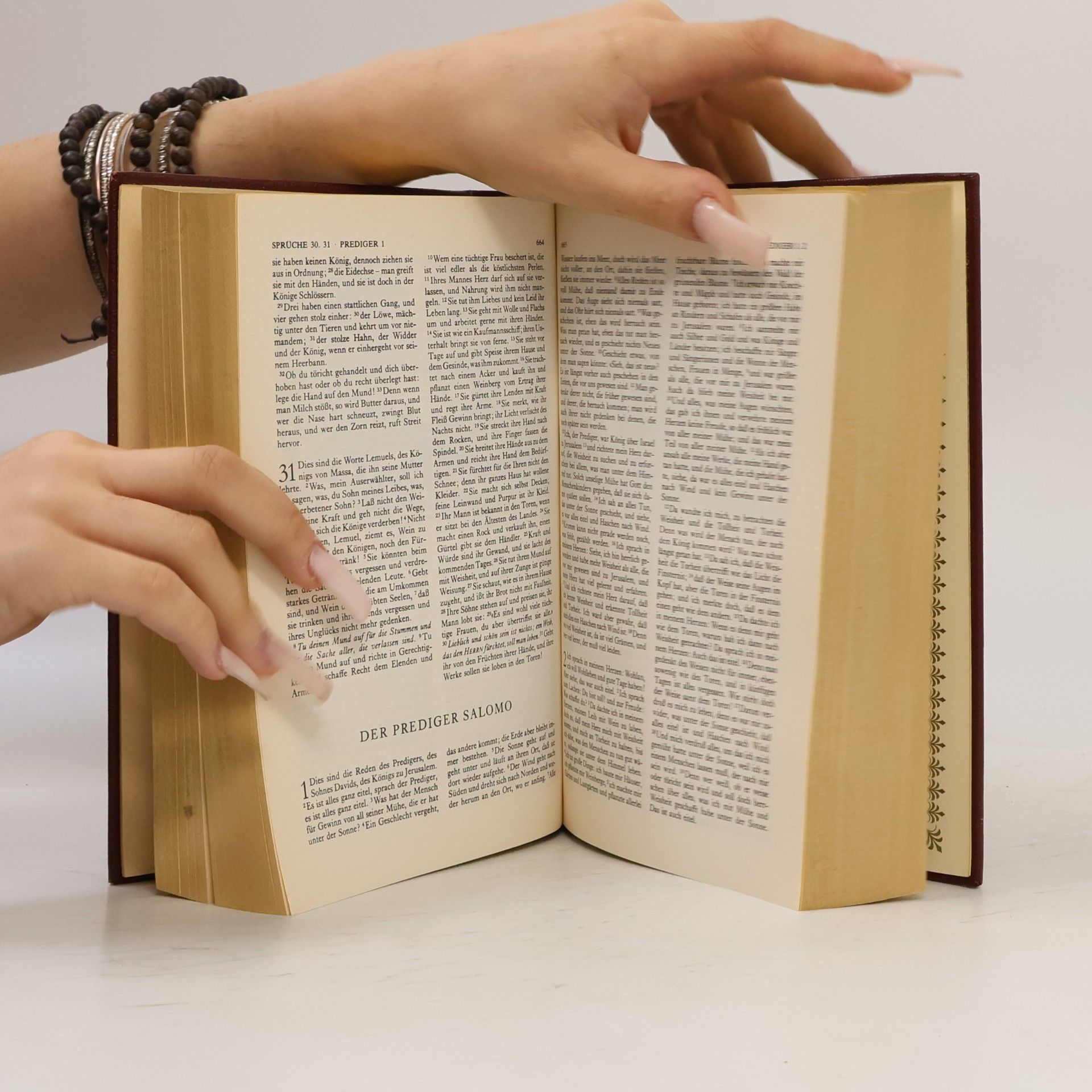 Autorenkollektiv Die Bibel