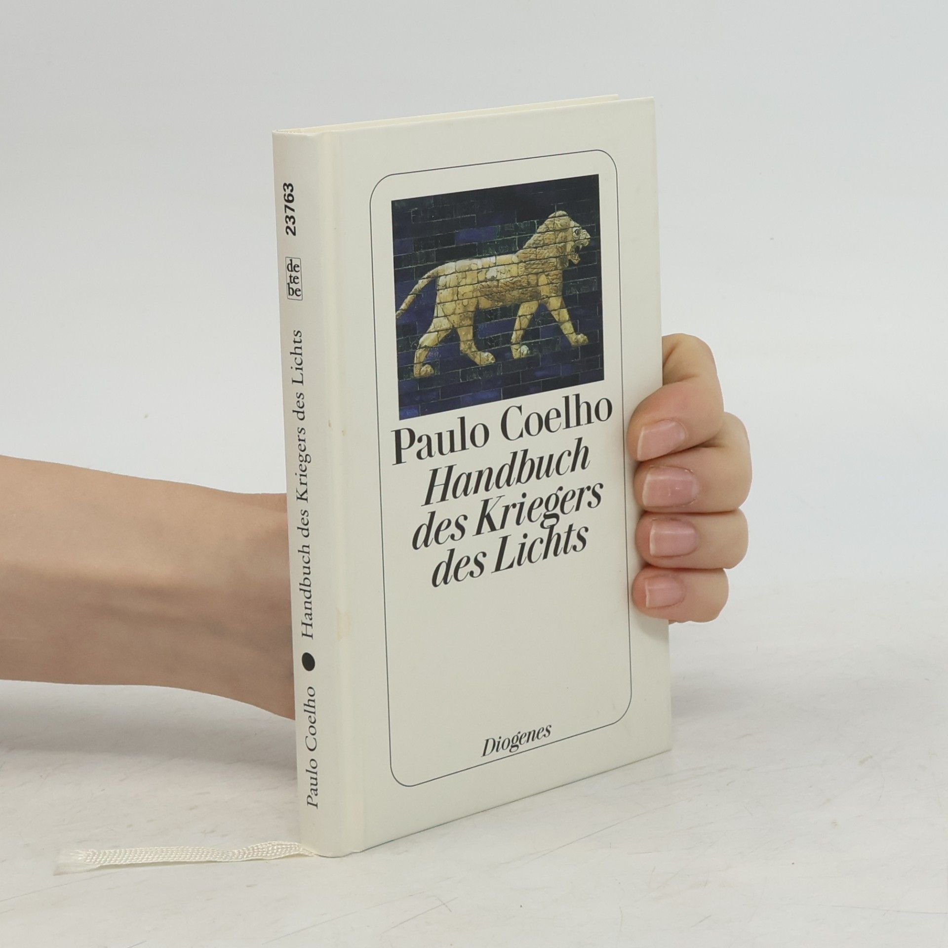 Paulo Coelho Handbuch des Kriegers des Lichts
