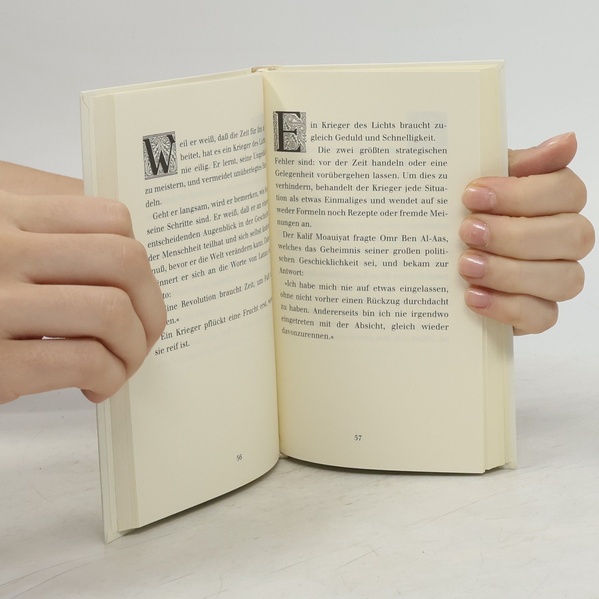 Paulo Coelho Handbuch des Kriegers des Lichts