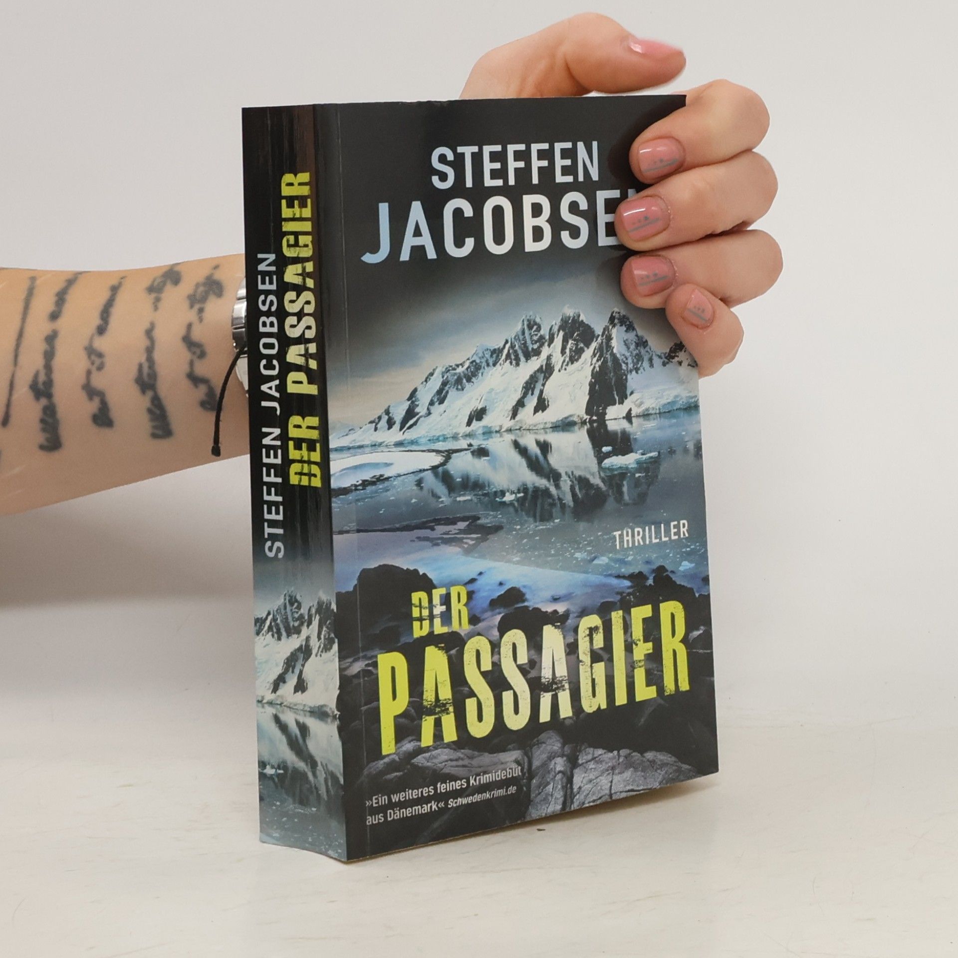Steffen Jacobsen Der Passagier