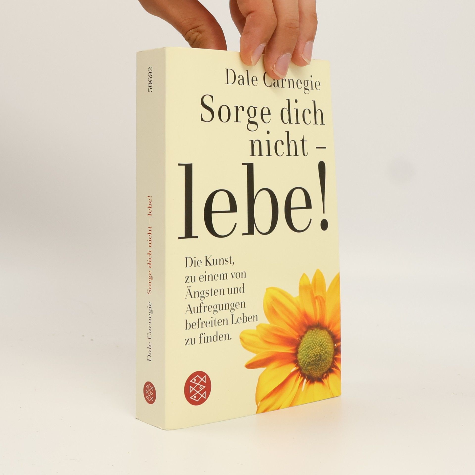 Dale Carnegie Sorge dich nicht - lebe!